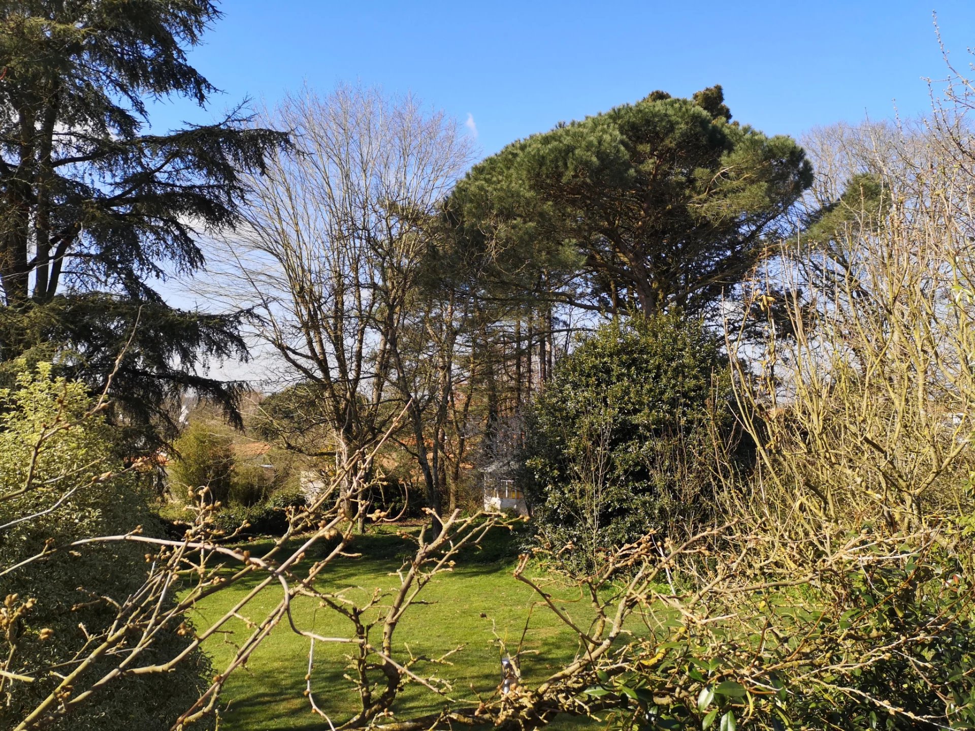 Vente Propriété Les Herbiers