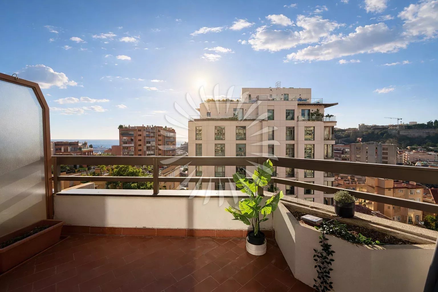 Soleil d'Or - Condamine