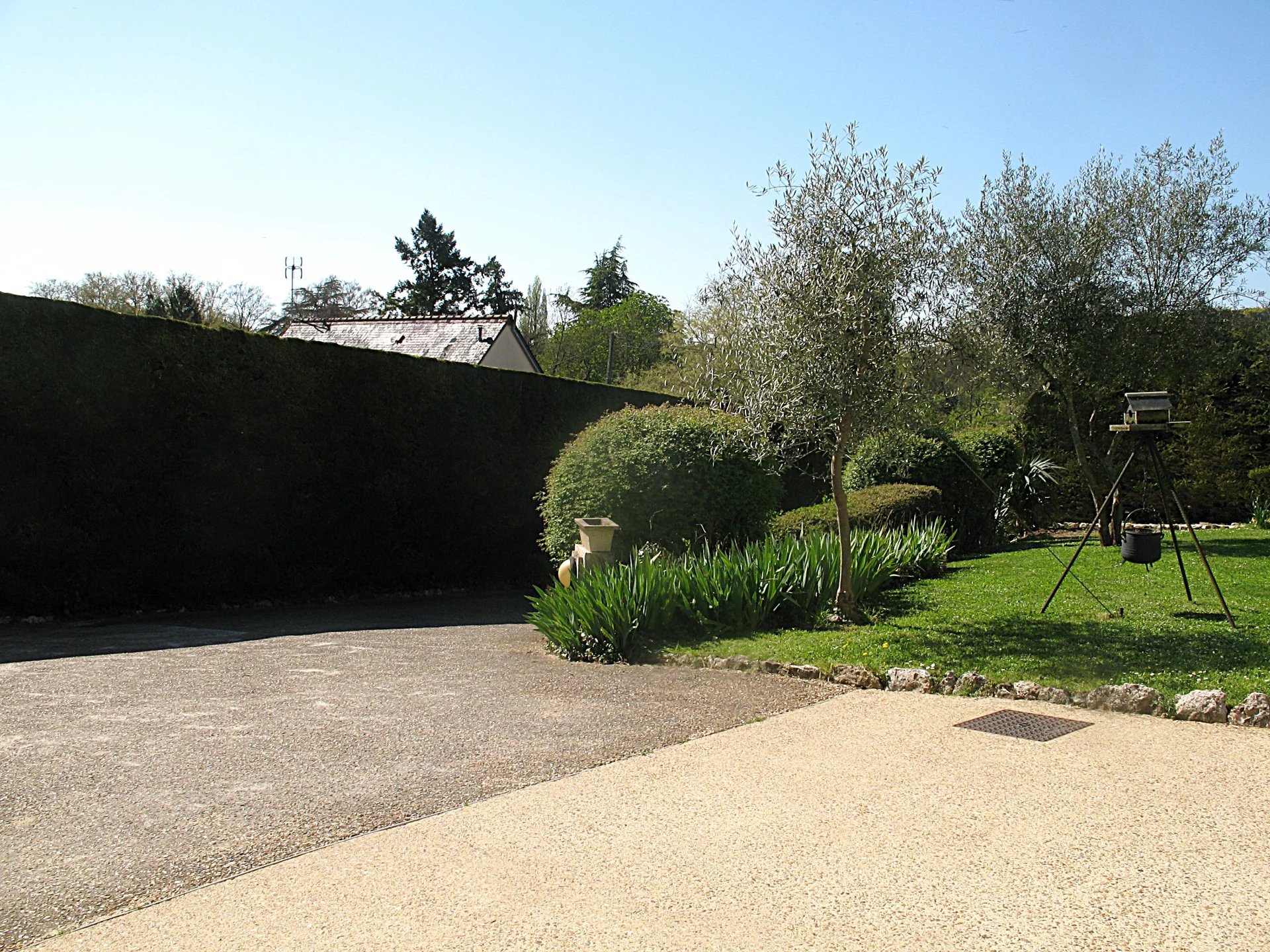 Photo 4