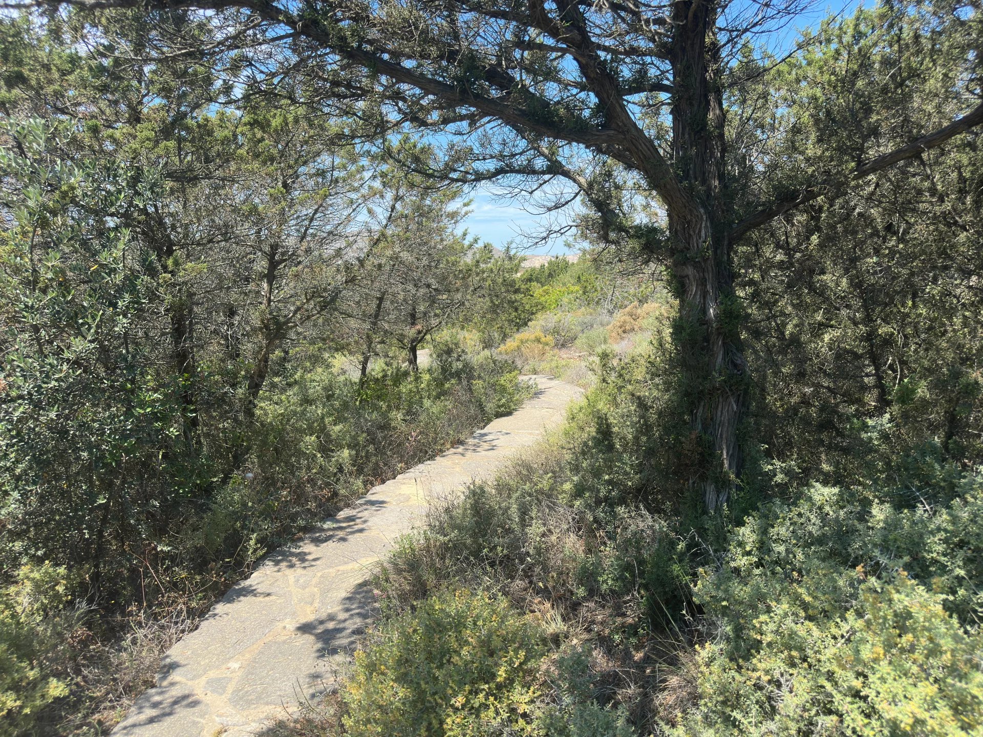 Εικόνα ιδιοκτησίας 92