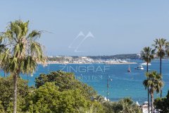 Cannes Croisette - renovated 2 room apartment with sea view — photo 5 of 7
