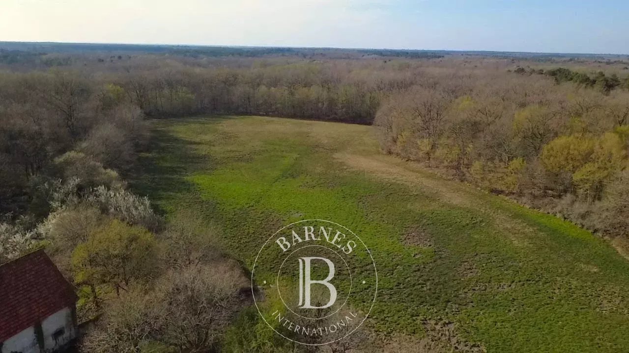 Domaine de chasse Salbris  -  ref 86889368 (picture 2)