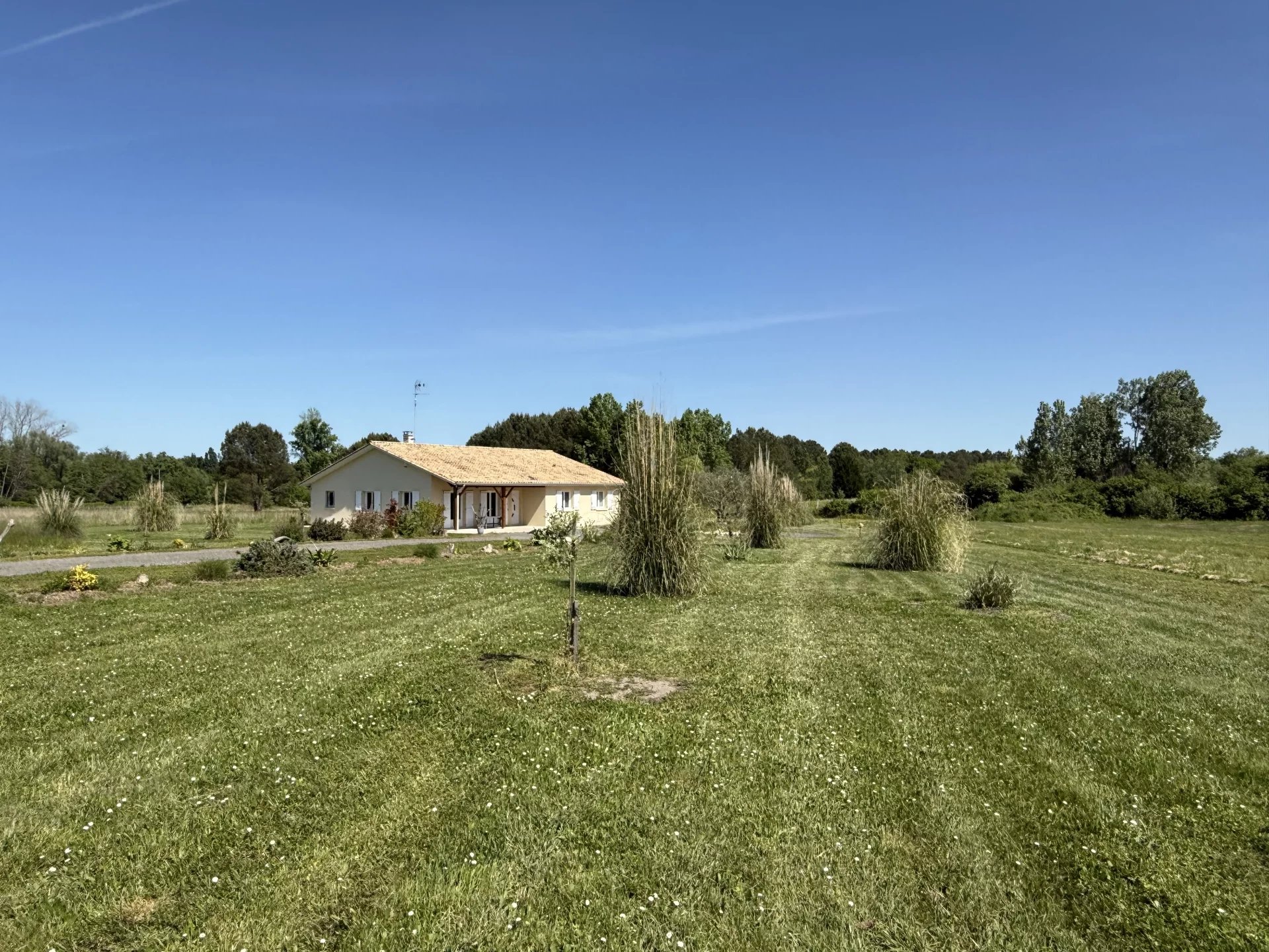 Agence immobilière de ROSER BEATRICE