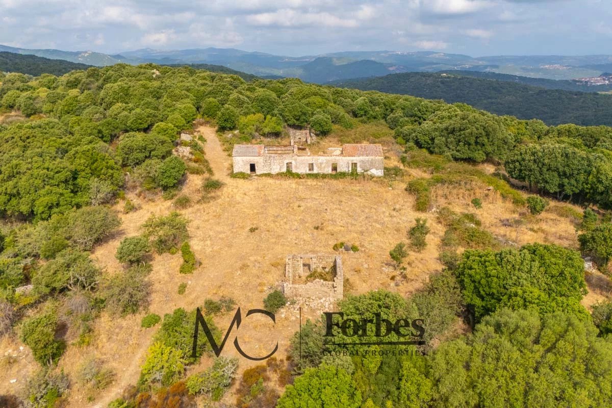 Land in Luras - Image 2
