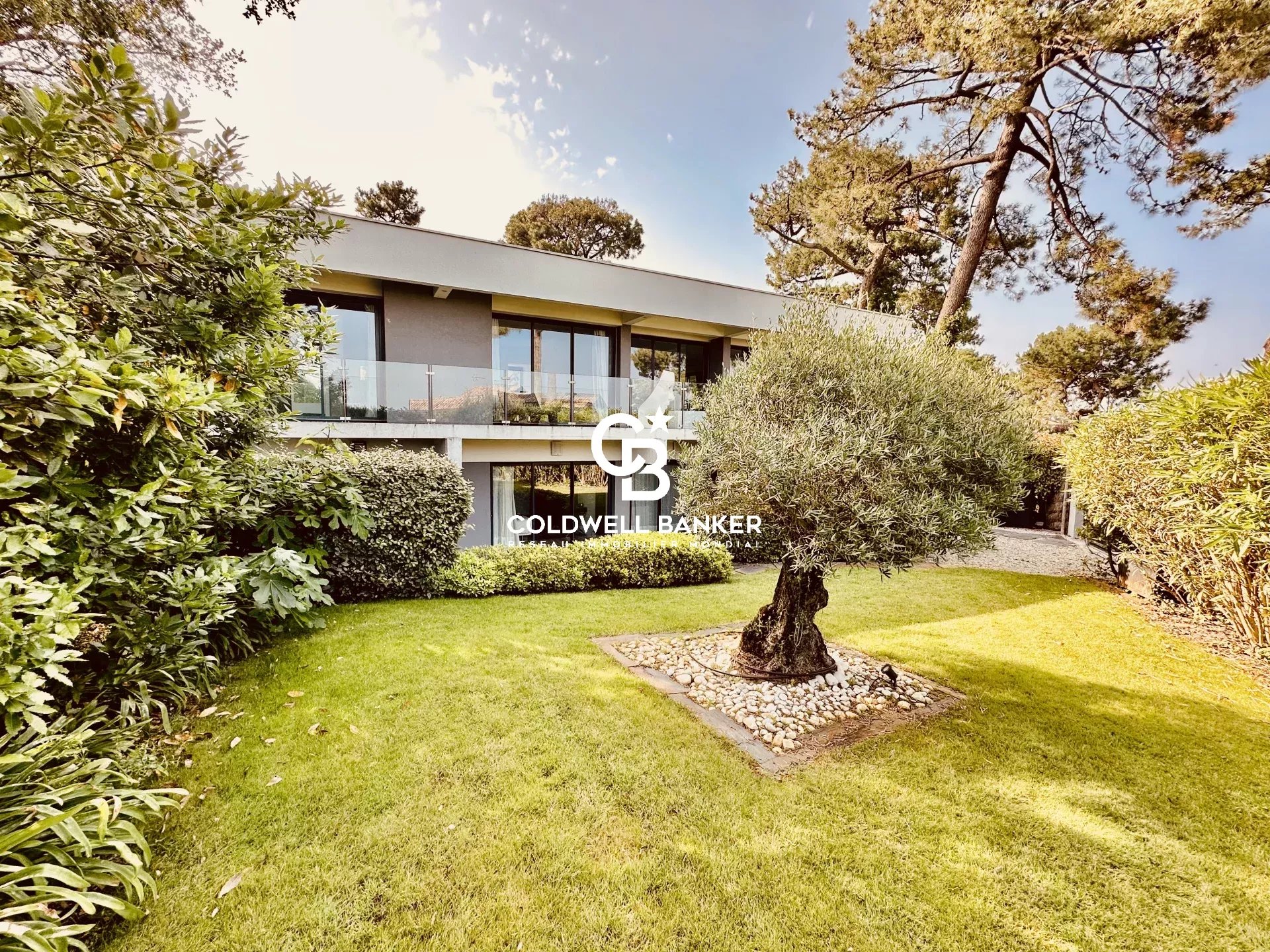 Agence immobilière de Silver Coast Int. Realty