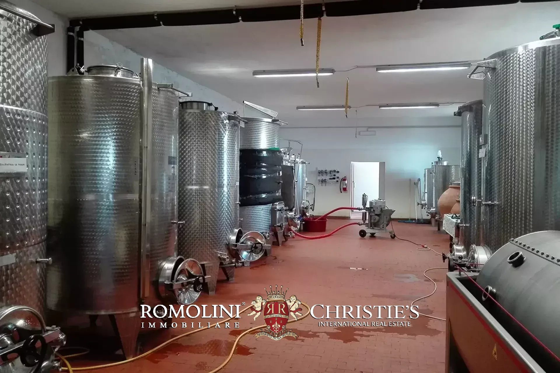 Vineyard's Image 27