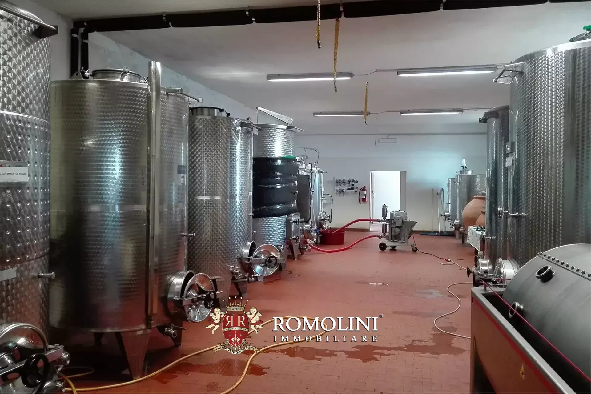Vineyard's Image 27