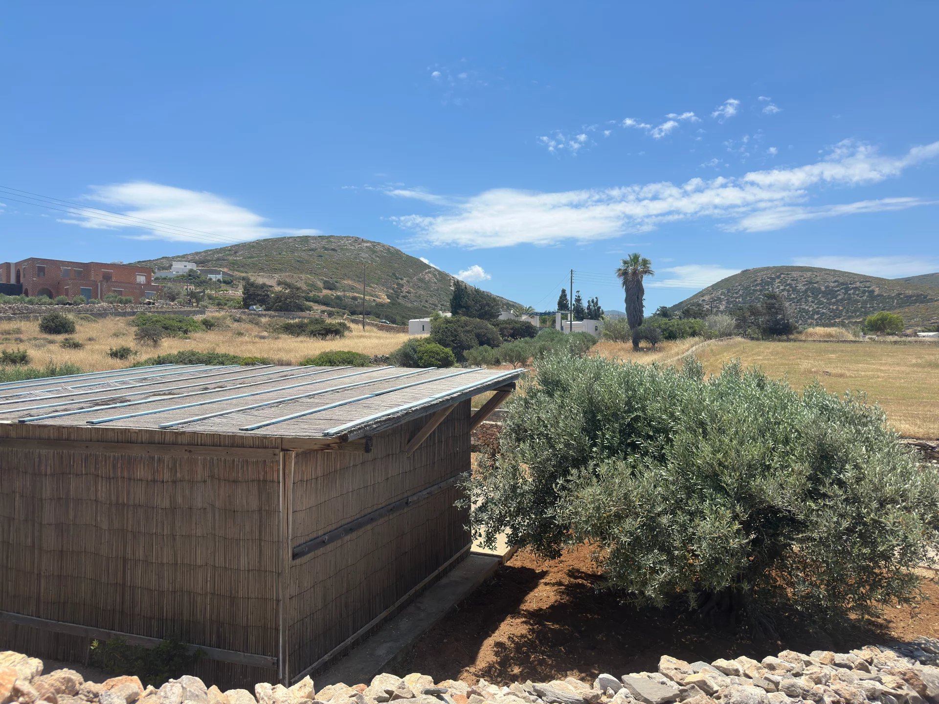 Εικόνα ιδιοκτησίας 98