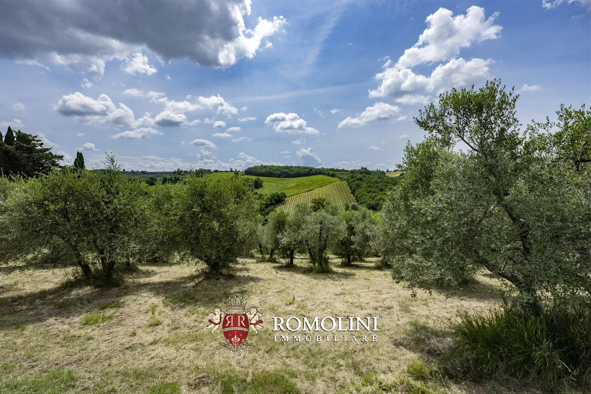 7 Bedroom Vineyard's Image 23