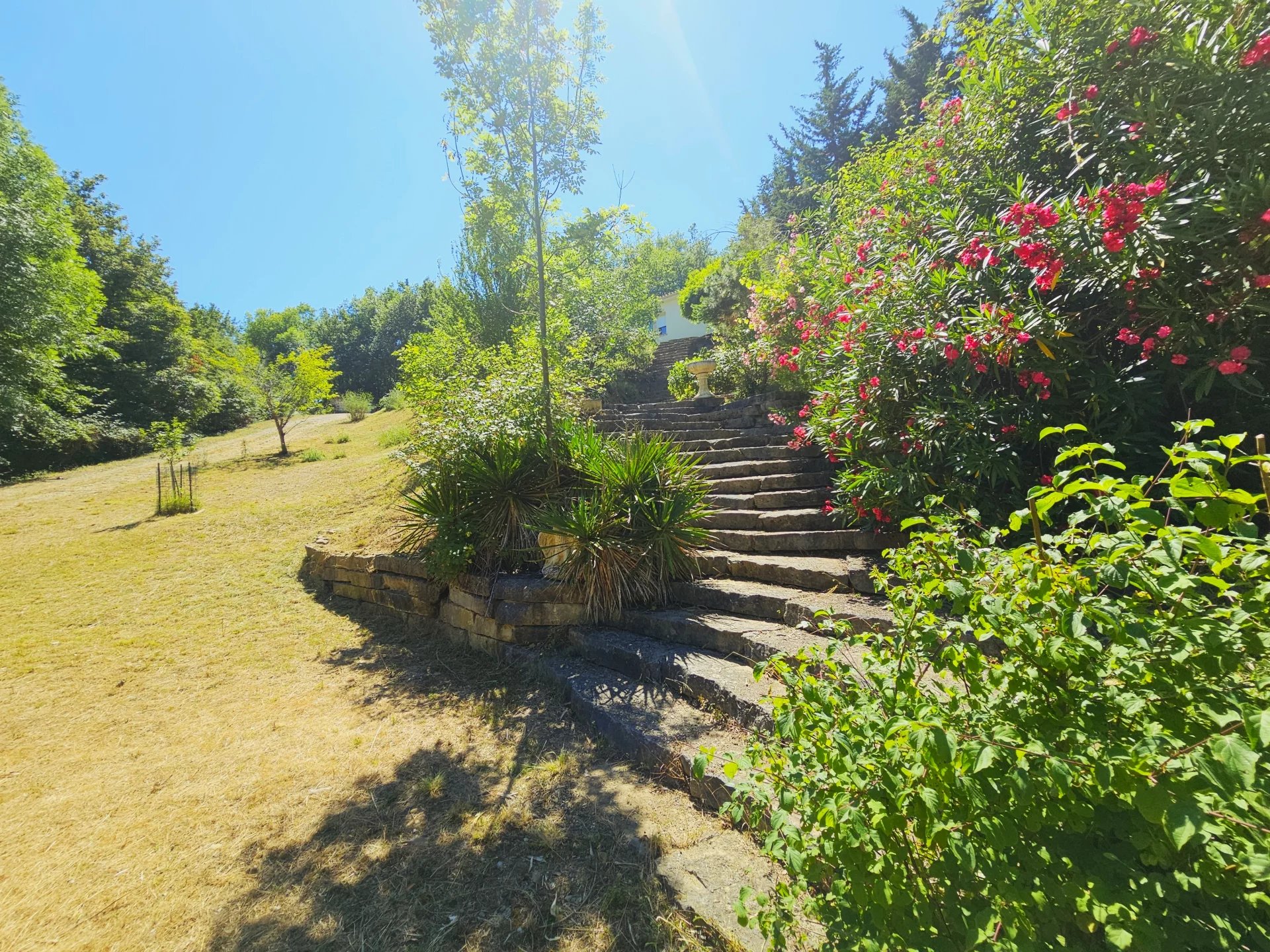 Agence immobilière de Richardson Immobilier