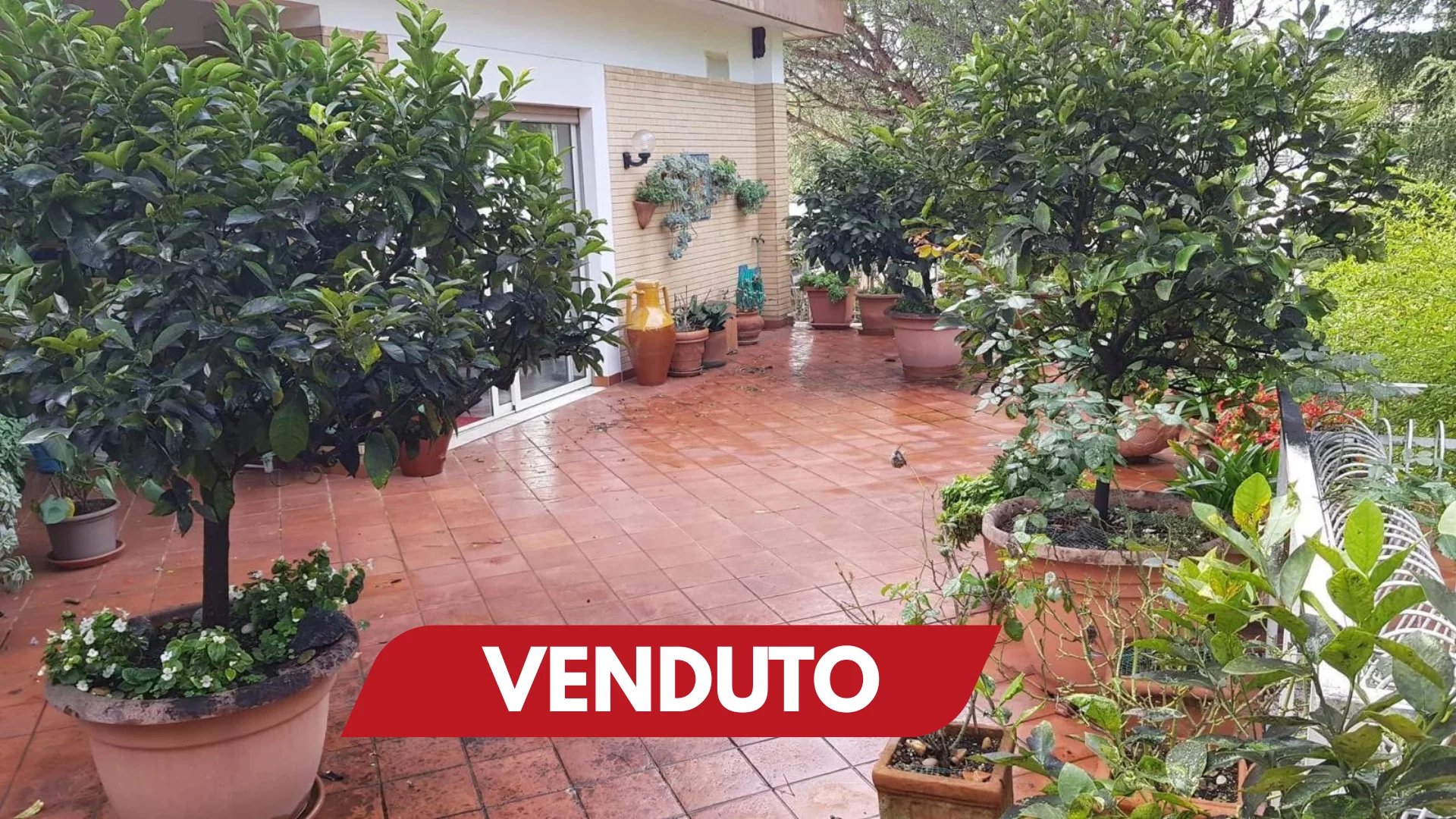 Vendita Attico Roma