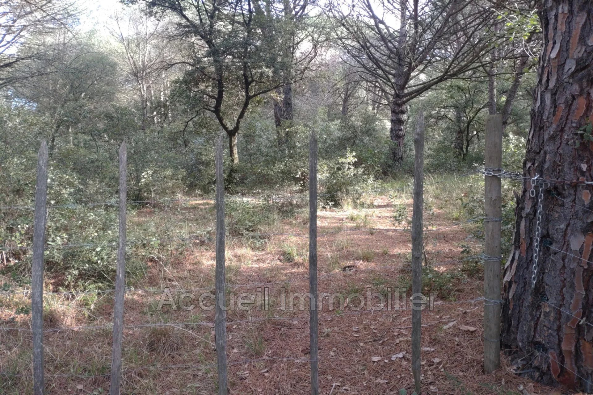 Vente Terrain Beauvoisin