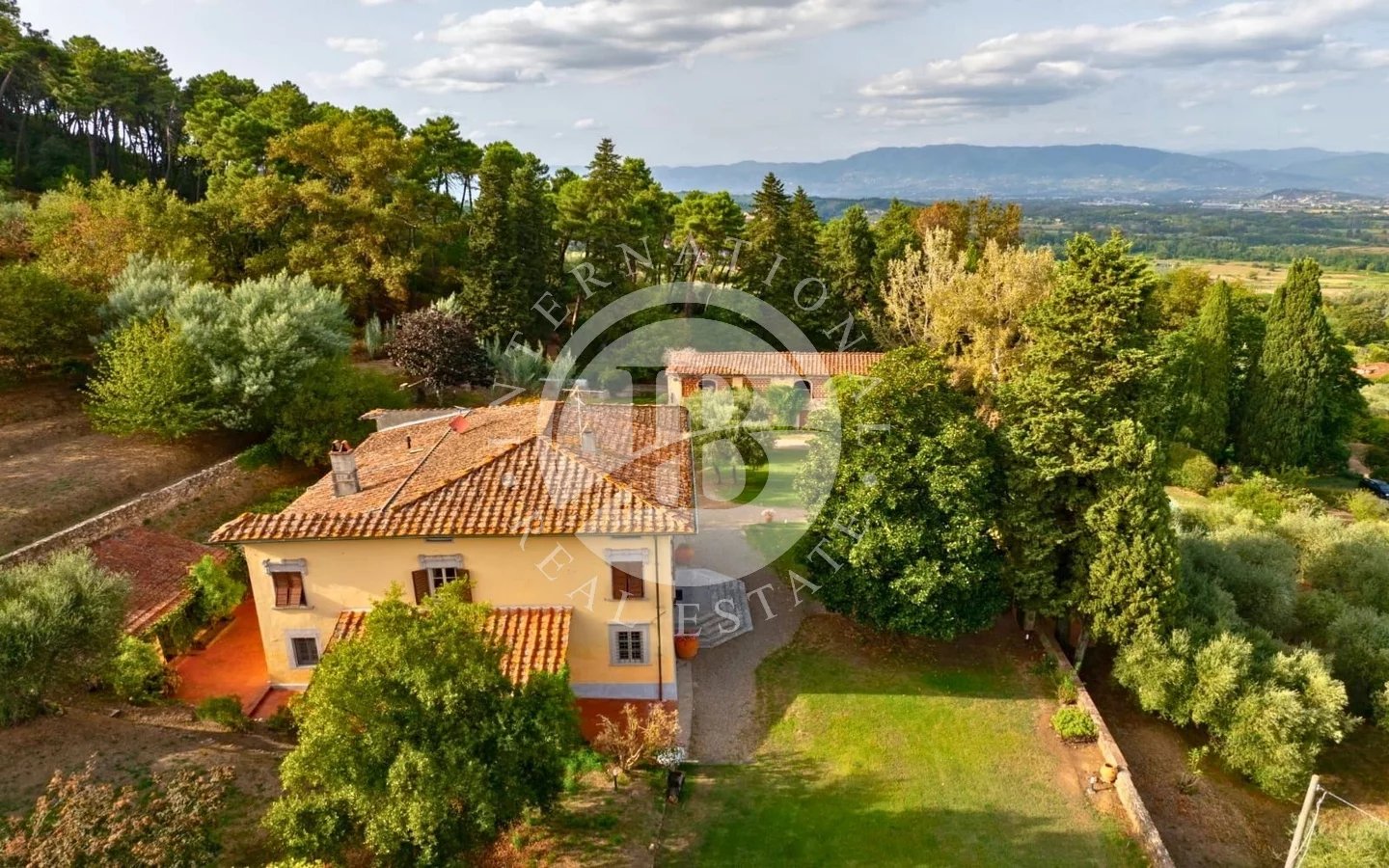 Villa in Ruota - Image 5