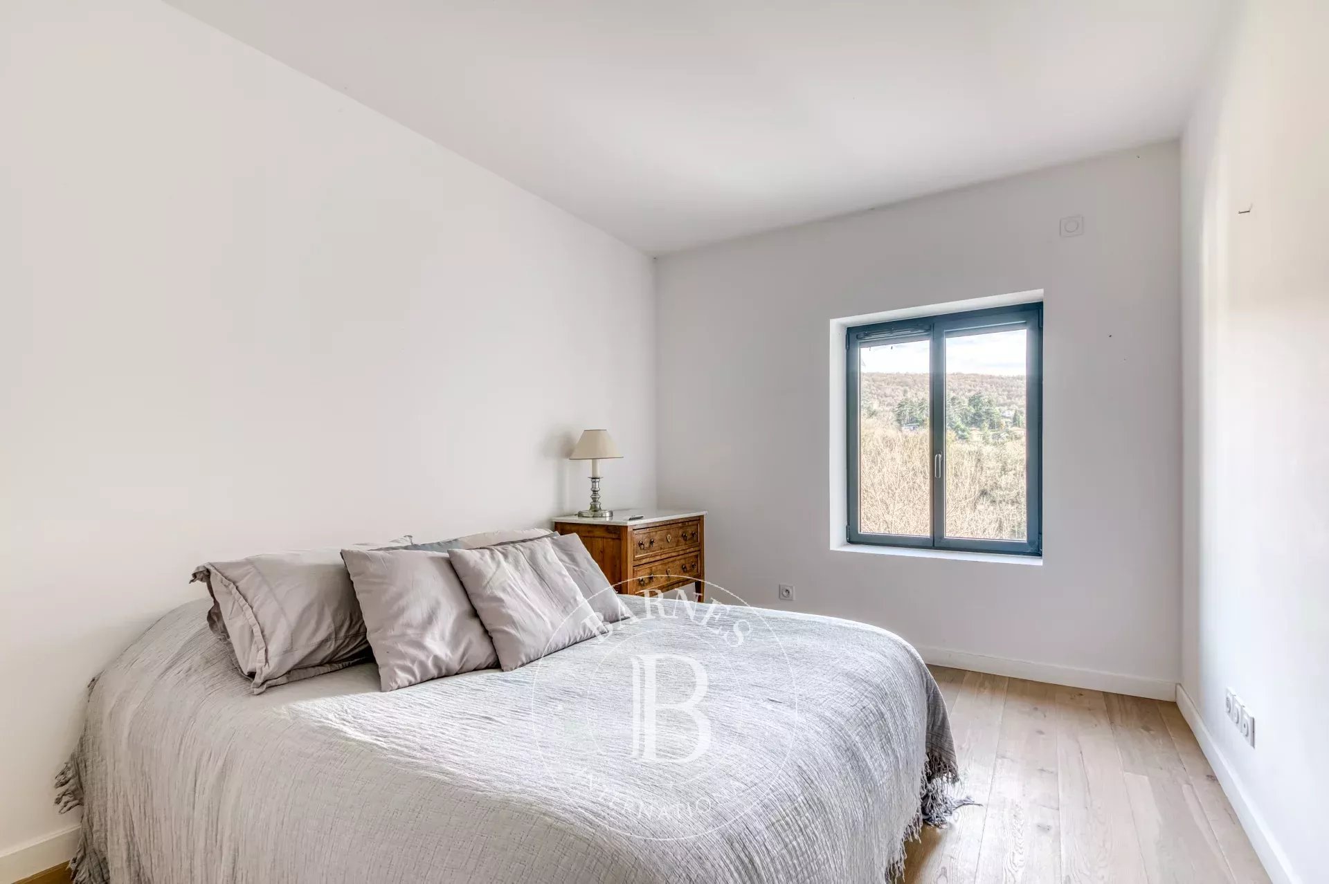 Ev Limonest - picture 9