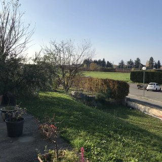 Vignette 9
