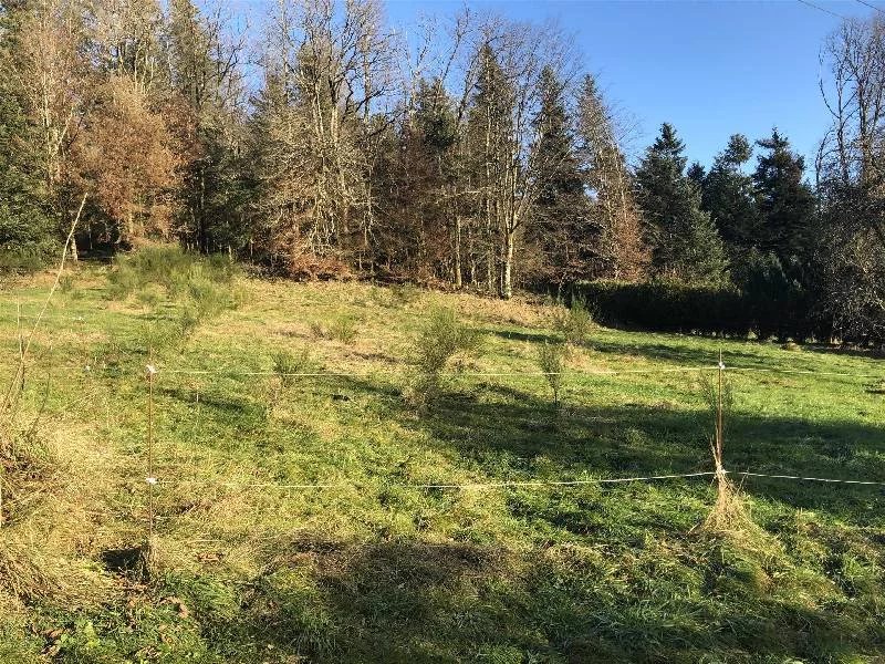 Vente Terrain Vecoux