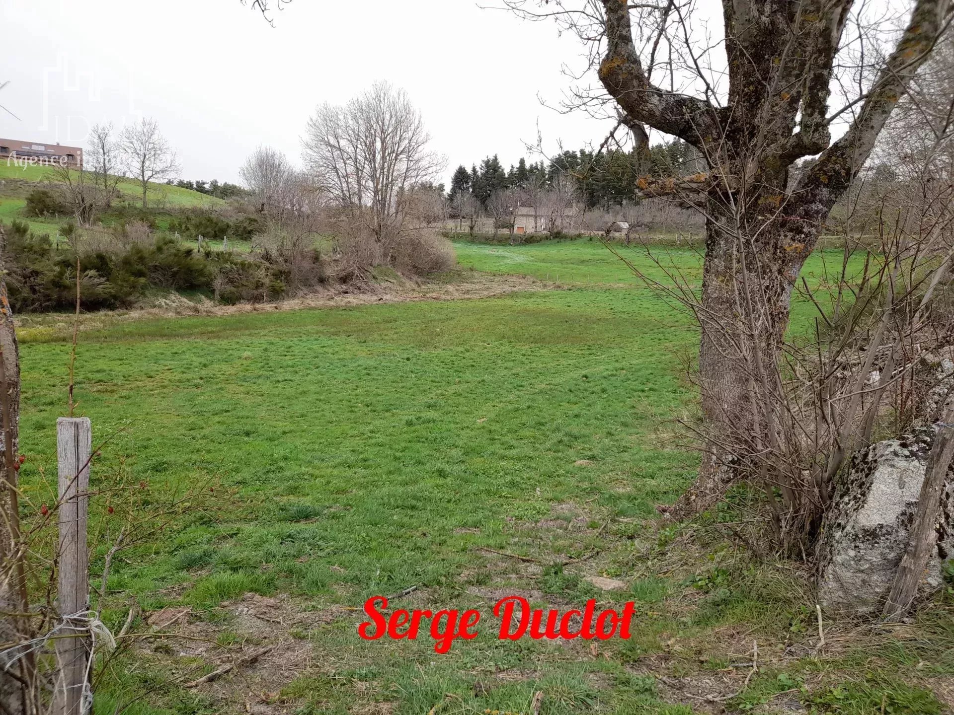 Agence immobilière de IDAL Agence Immobilière