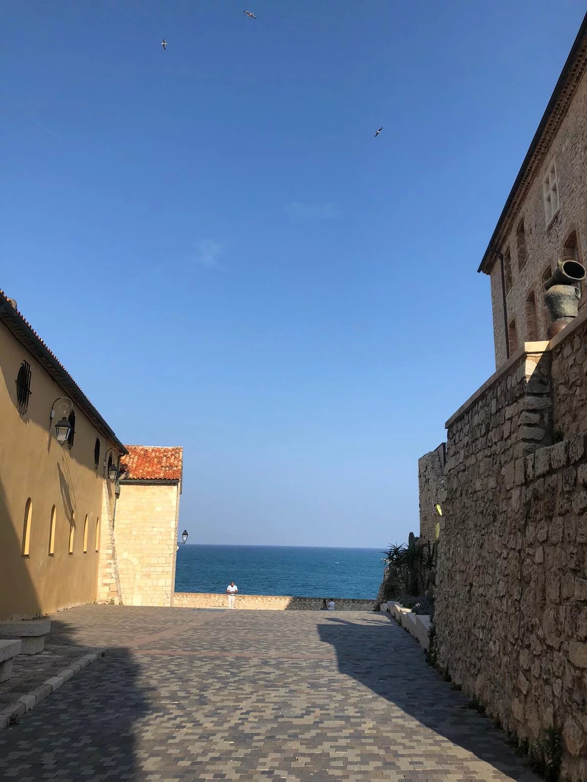 Unique apartment in the port of Beaulieu sur Mer