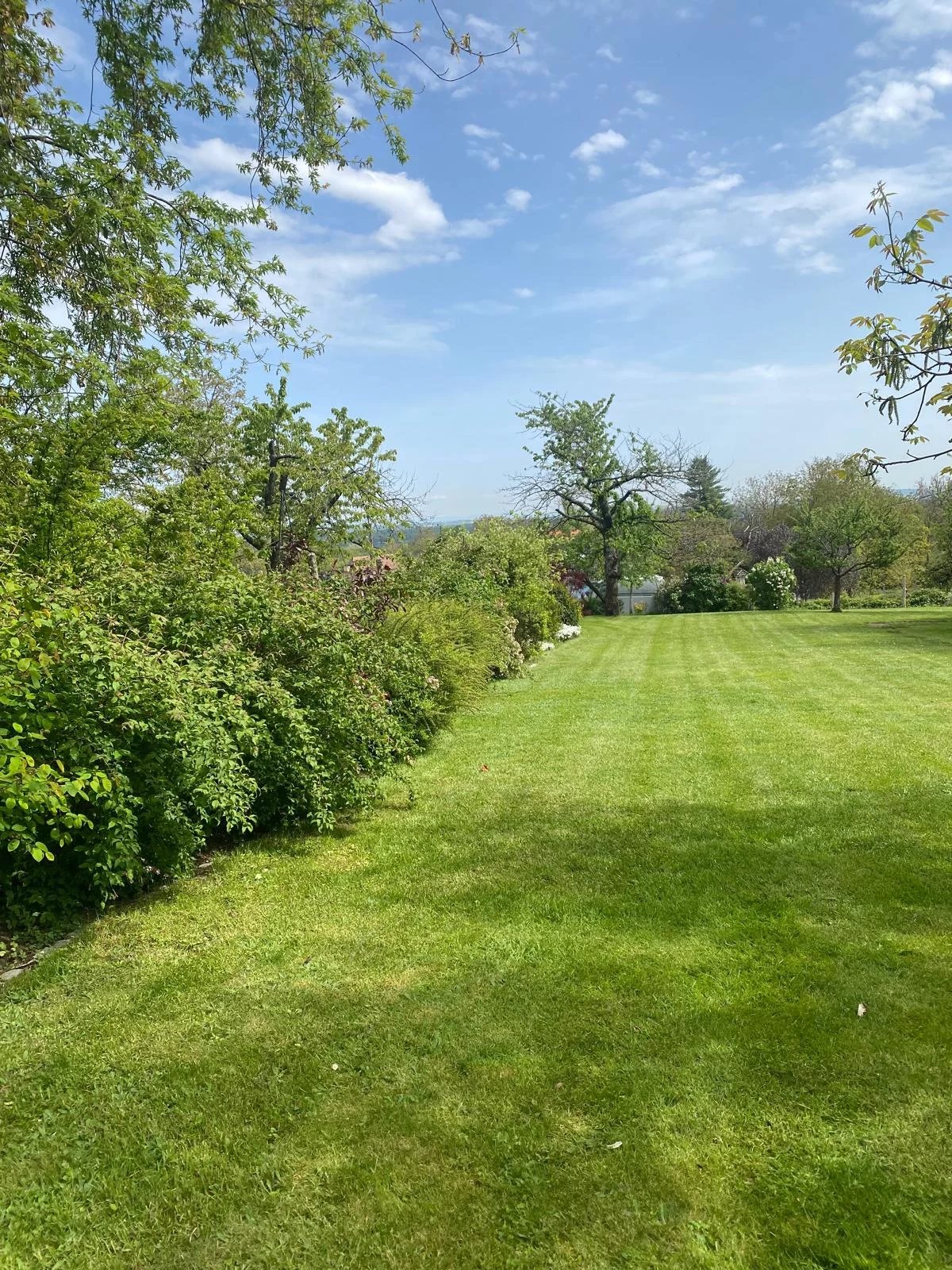 Vente Terrain constructible Eckartswiller