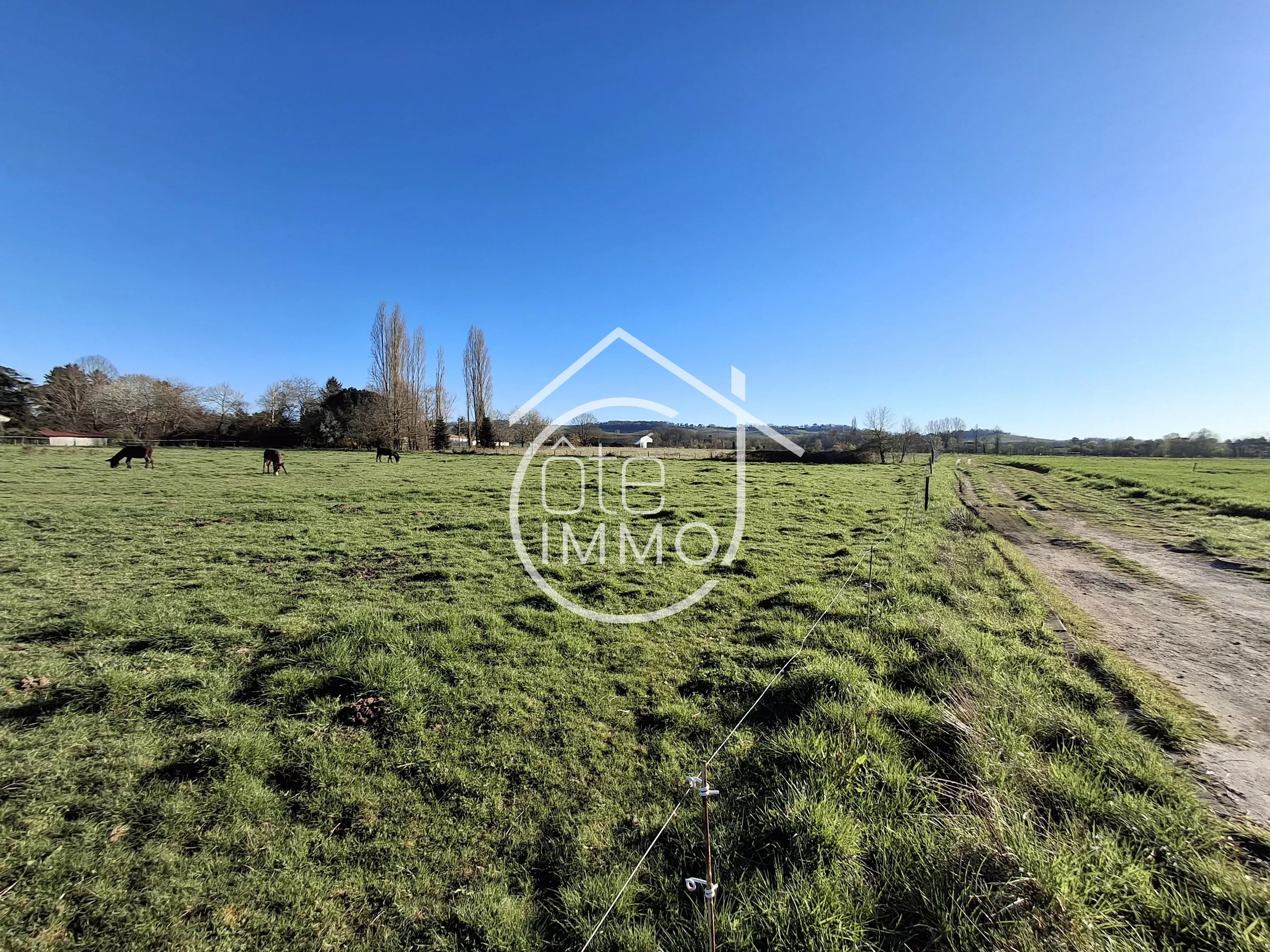 Agence immobilière de Agence Coteimmo.fr