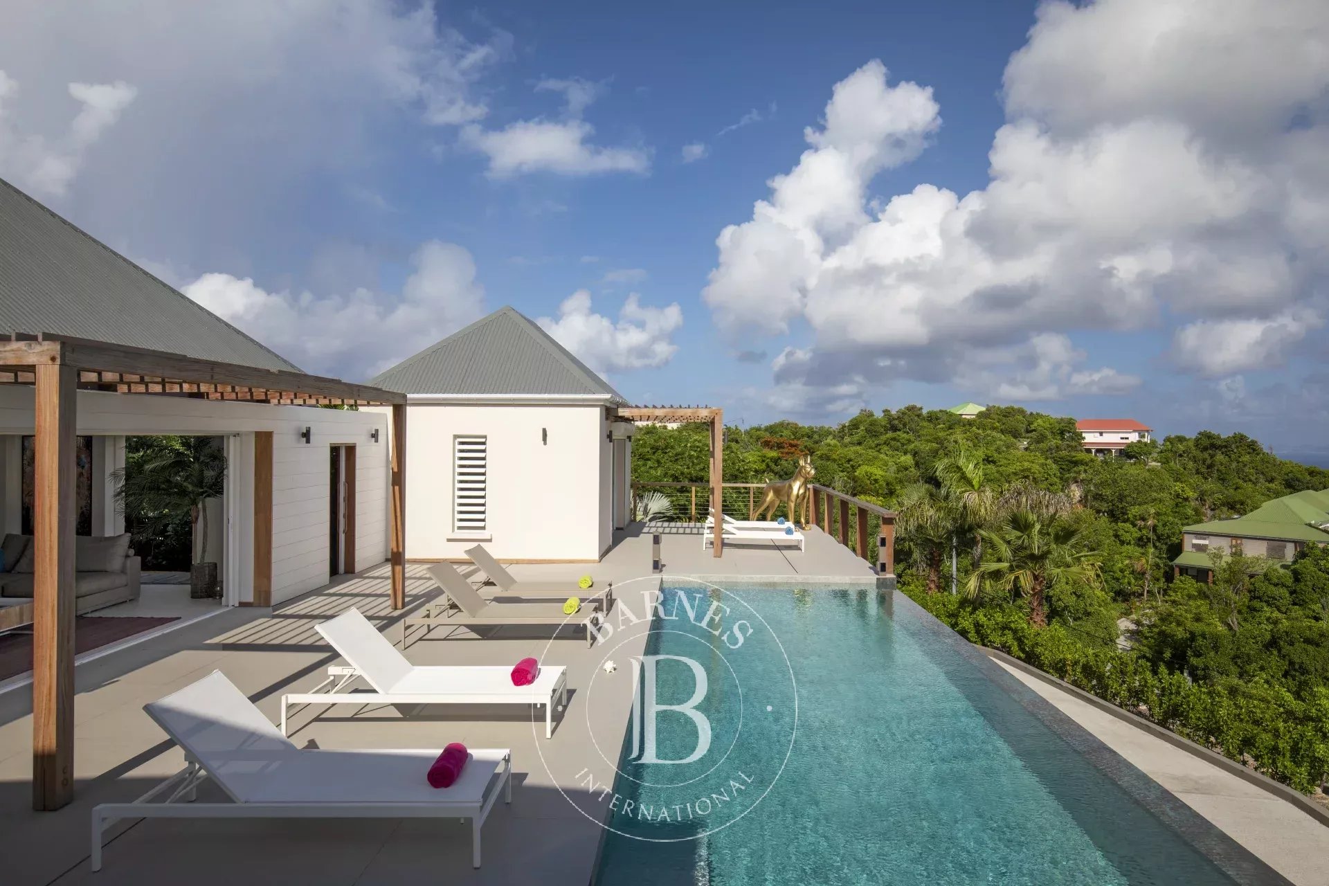 Villa Saint-Barthélemy  -  ref 86995916 (picture 3)