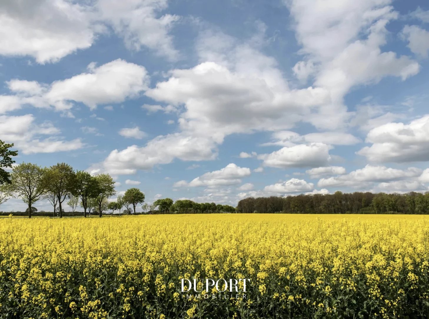 Agence immobilière de Duport Immobilier BORDEAUX