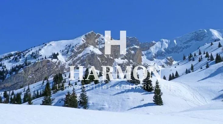 Harmon à vendre : RESTAURANT LA PIERRE ST MARTIN - Photo 3