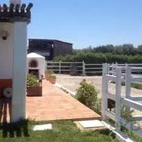 Exceptional Equestrian Estate – Odemira, South West Alentejo 86739800 image 25