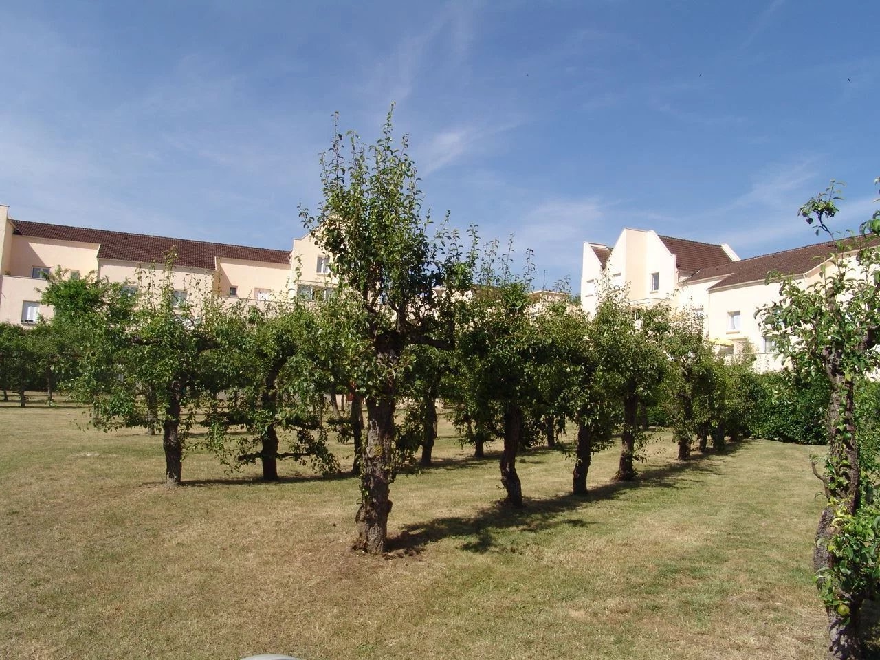 Appartement de 6 pièces