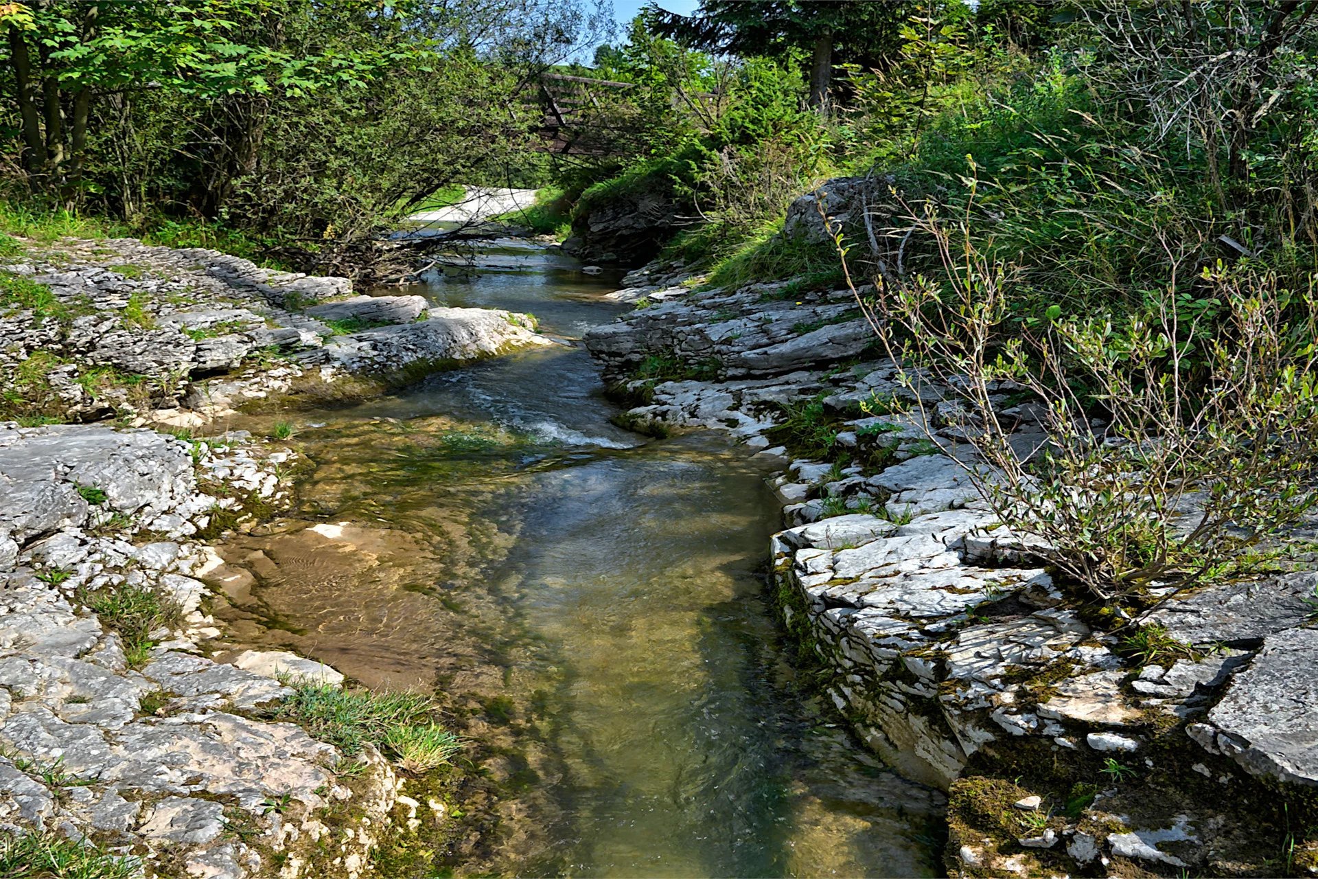 SORGENTE NATURALE CON IMPIANTO D'IMBOTTIGLIAMENTO IN VENDITA IN TOSCANA
