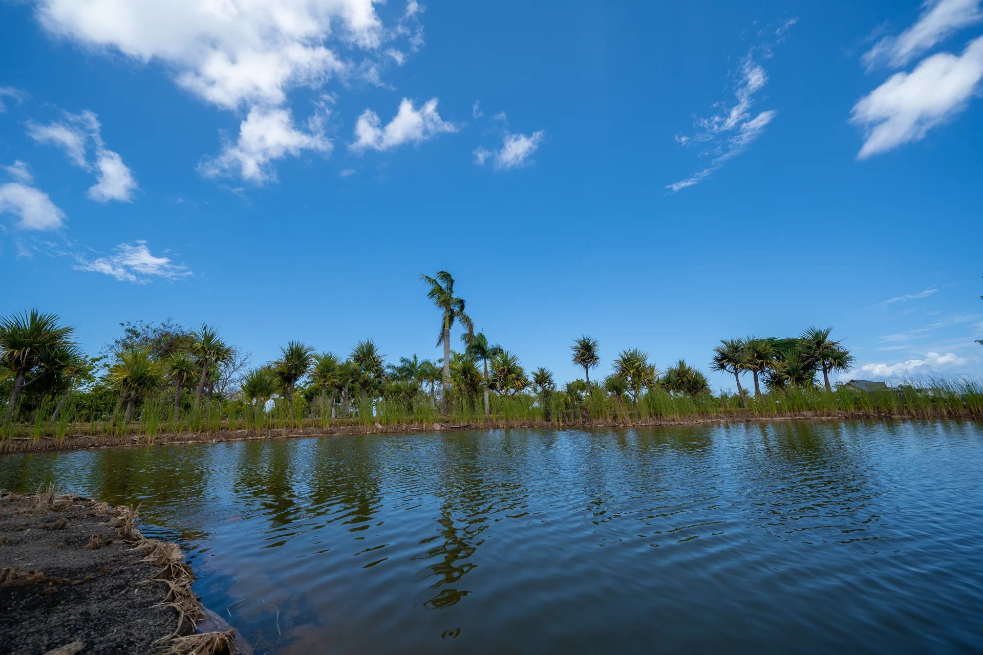 Villa Balaclava - picture 16