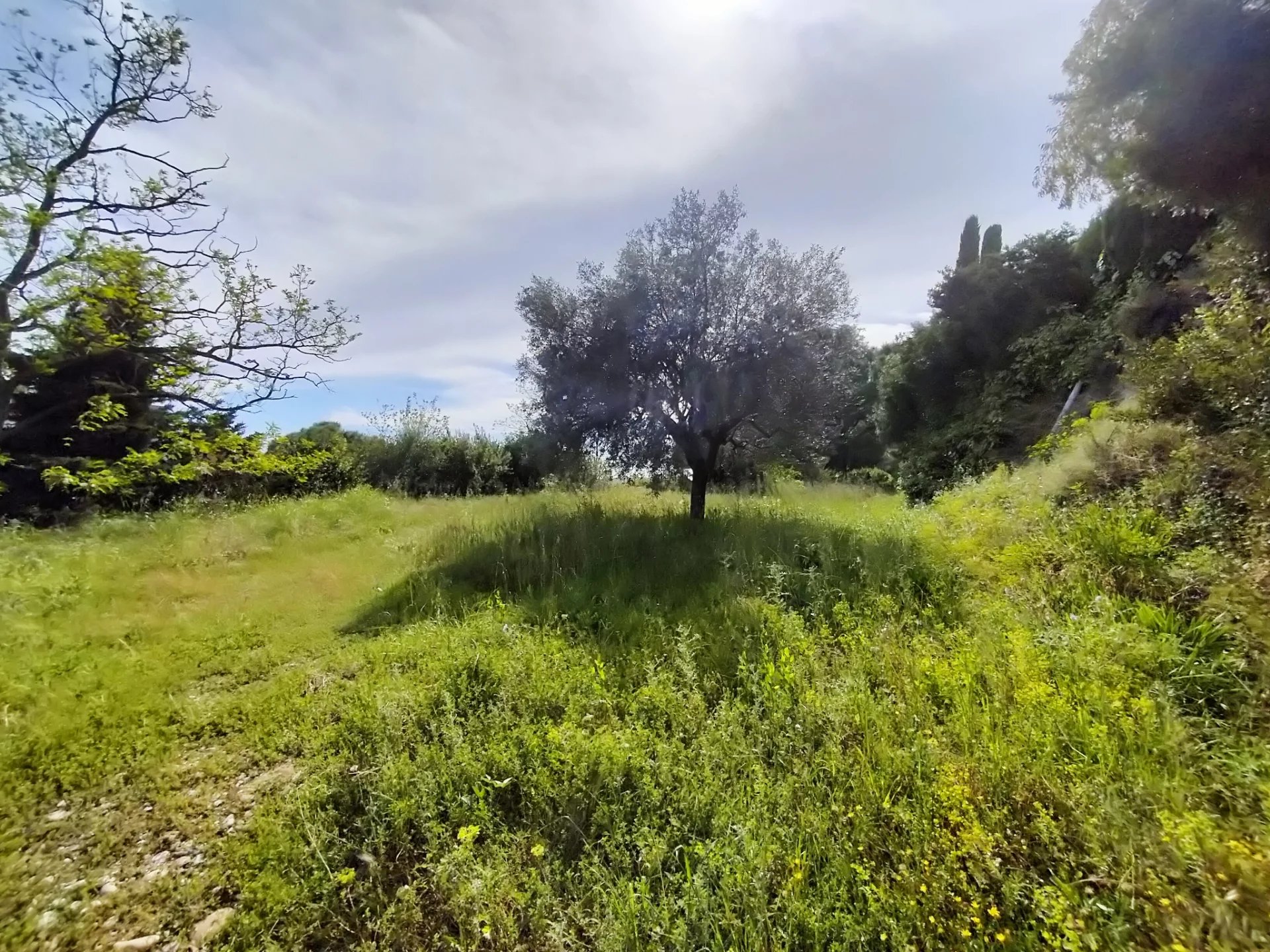 TERRAIN A BÂTIR - CAGNES SUR MER