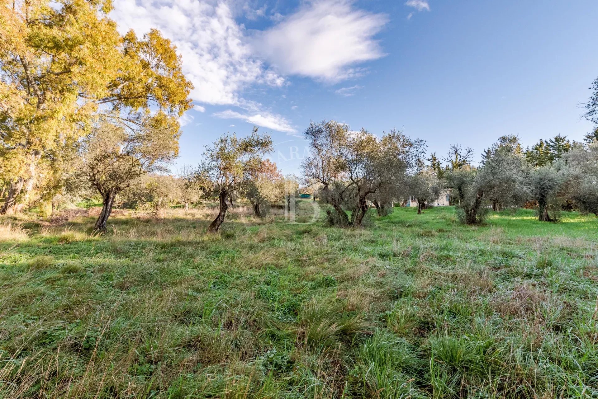 Arazi Valbonne - picture 6