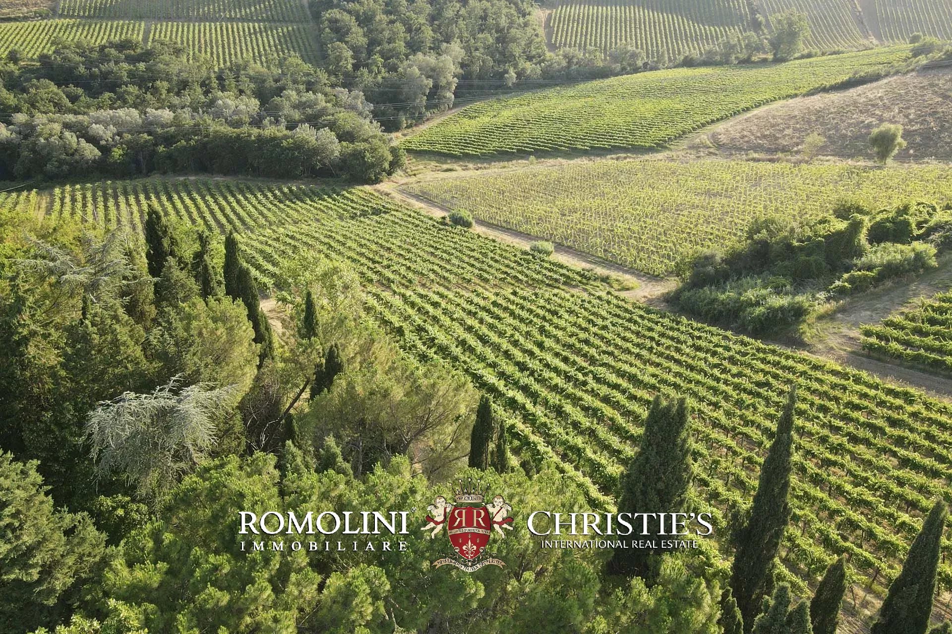 15 Bedroom Vineyard's Image 3
