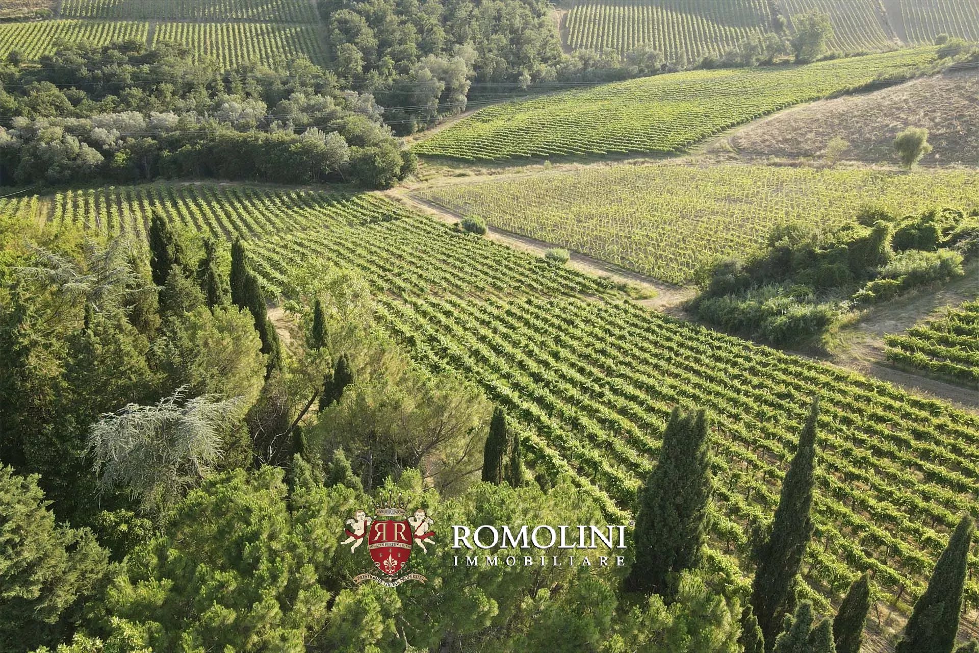 15 Bedroom Vineyard's Image 3