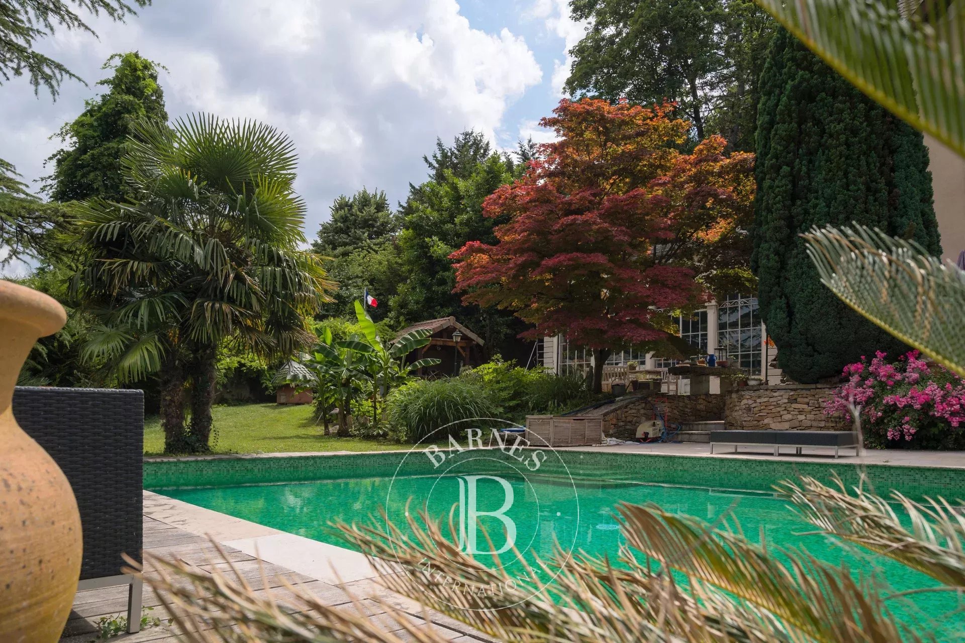 Ev Collonges-au-Mont-d'Or - picture 5