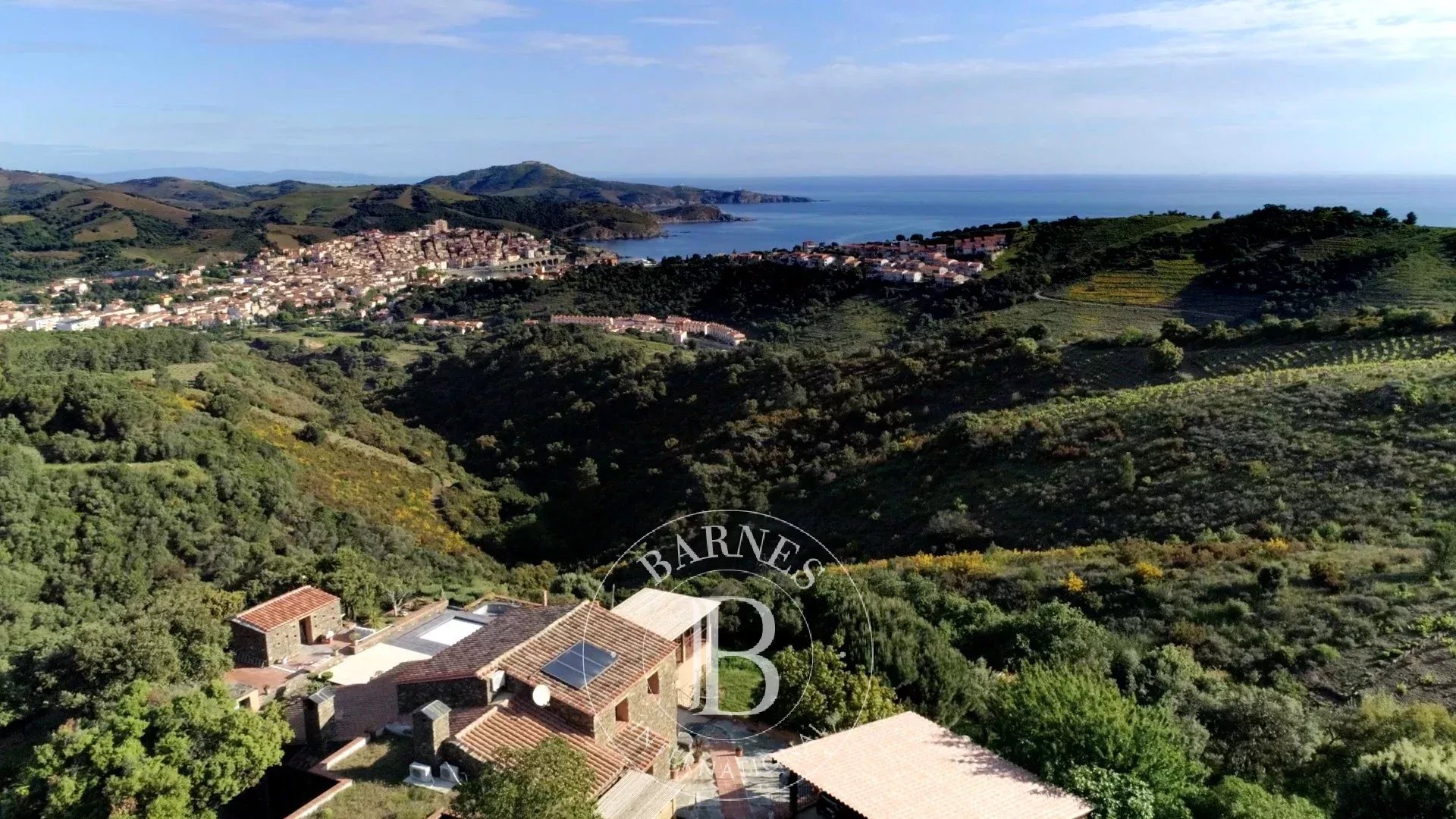 Mas Banyuls-sur-Mer  -  ref 87086738 (picture 2)