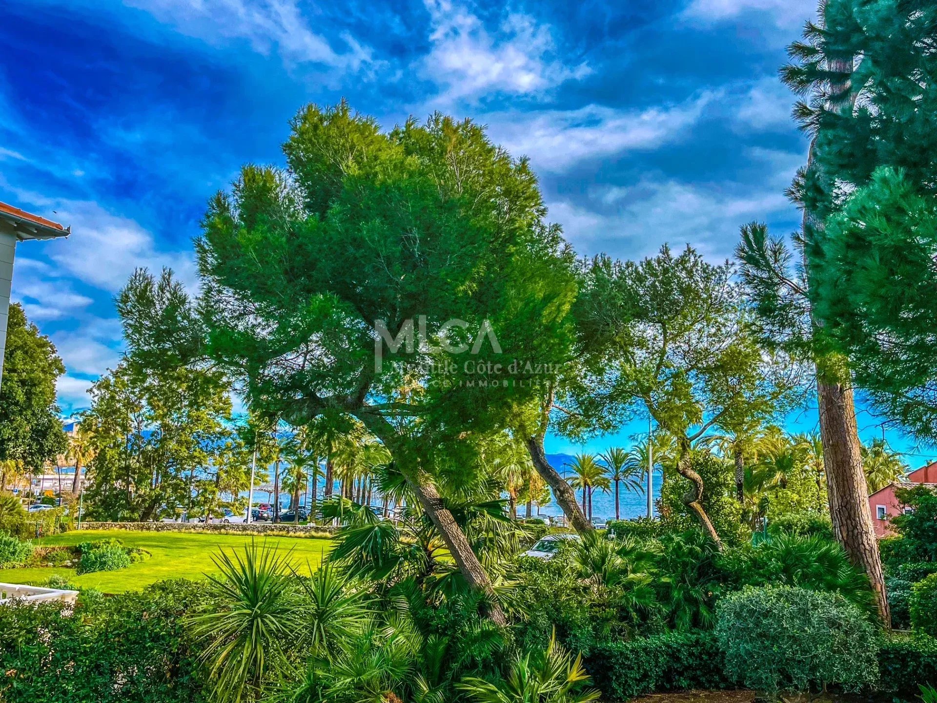 Agence immobilière de My Little Côte d'Azur