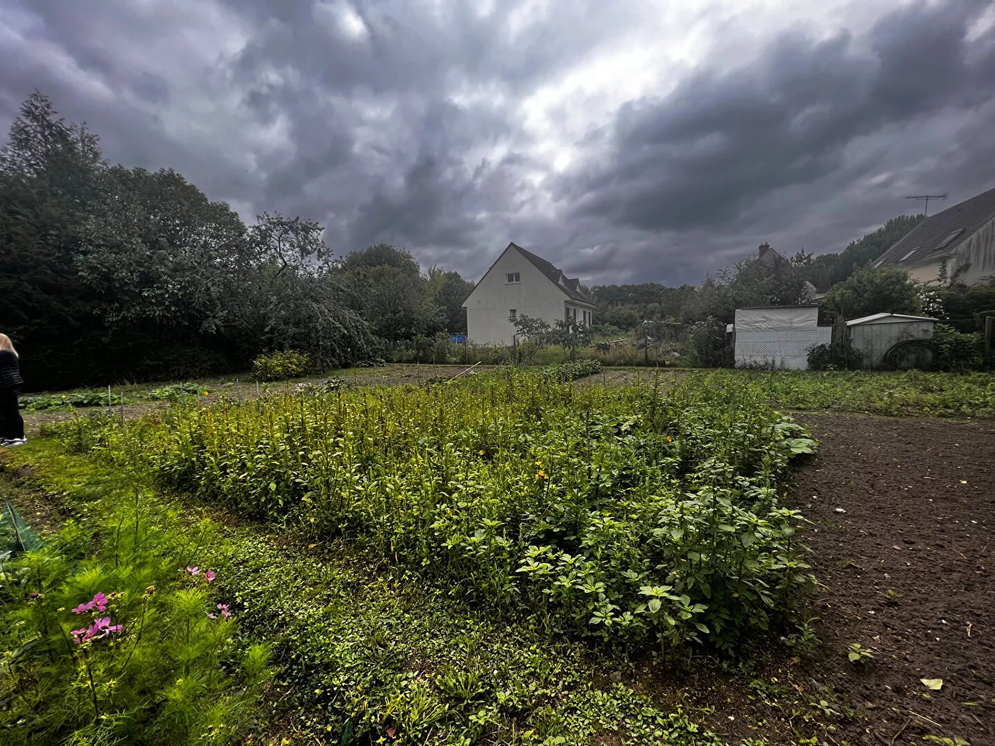 Vente Terrain Gouvieux