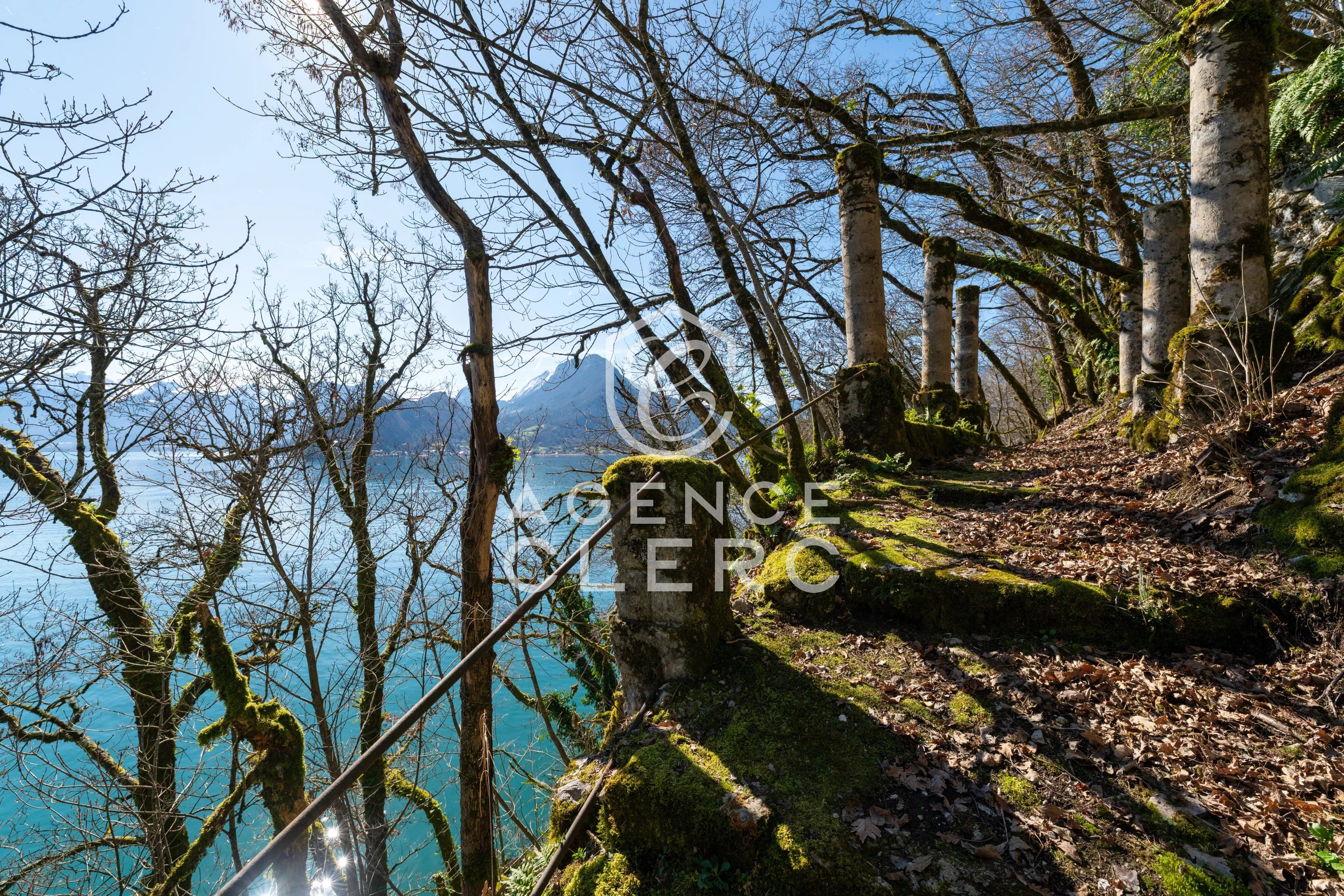 Vente Propriété Talloires-Montmin