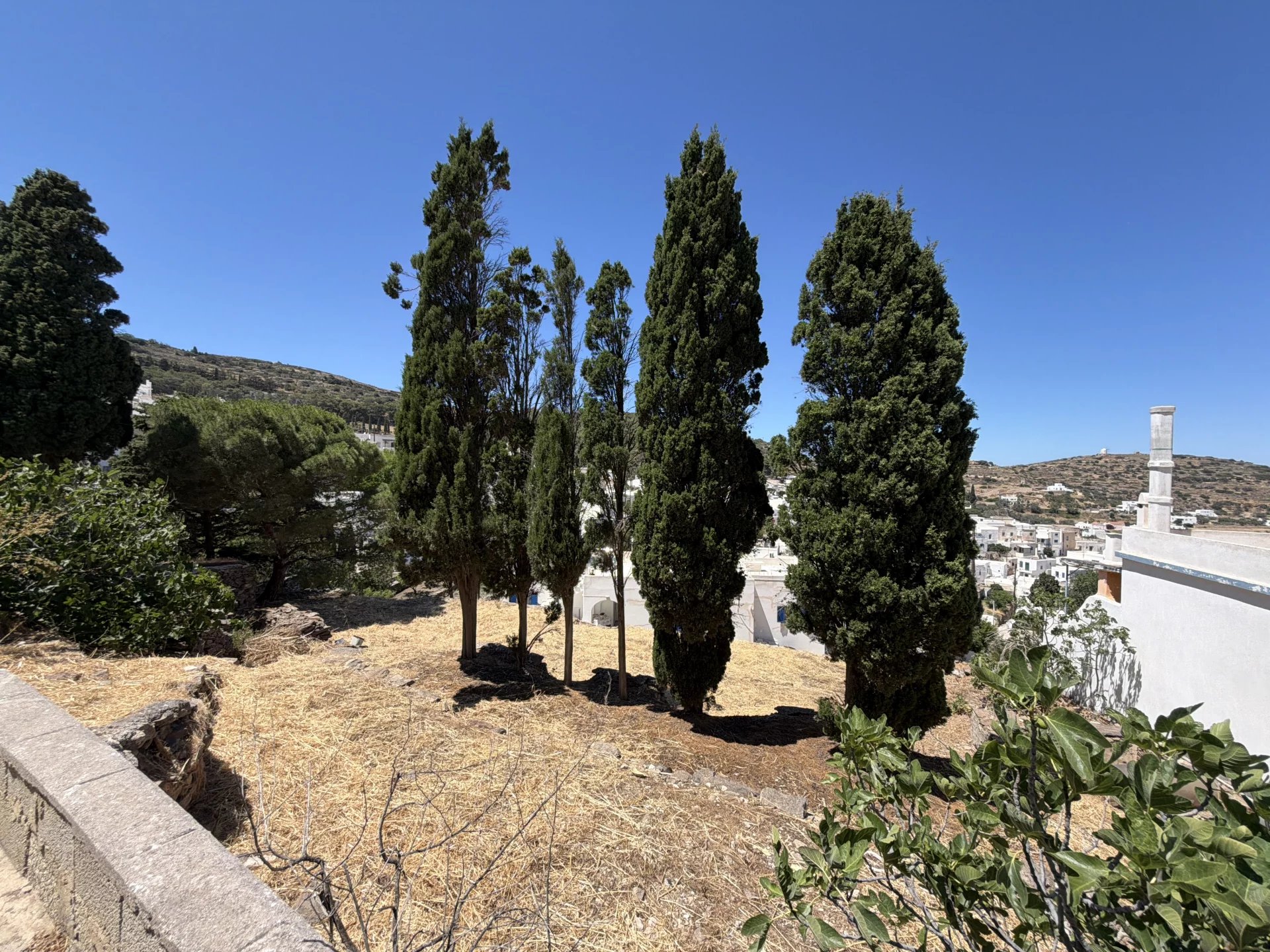 Image de la propriété 15