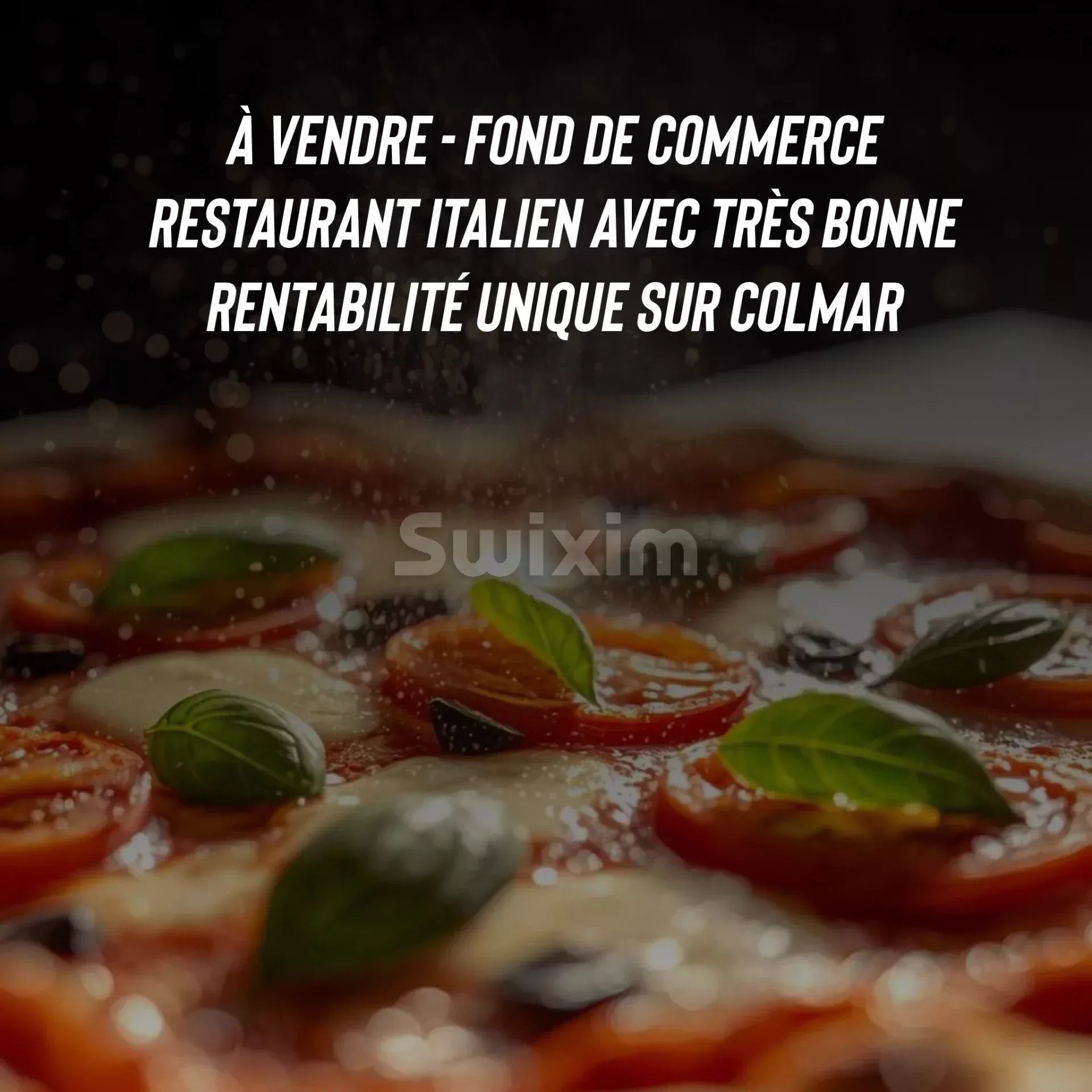 Agence immobilière de SWISS PLAN SAS