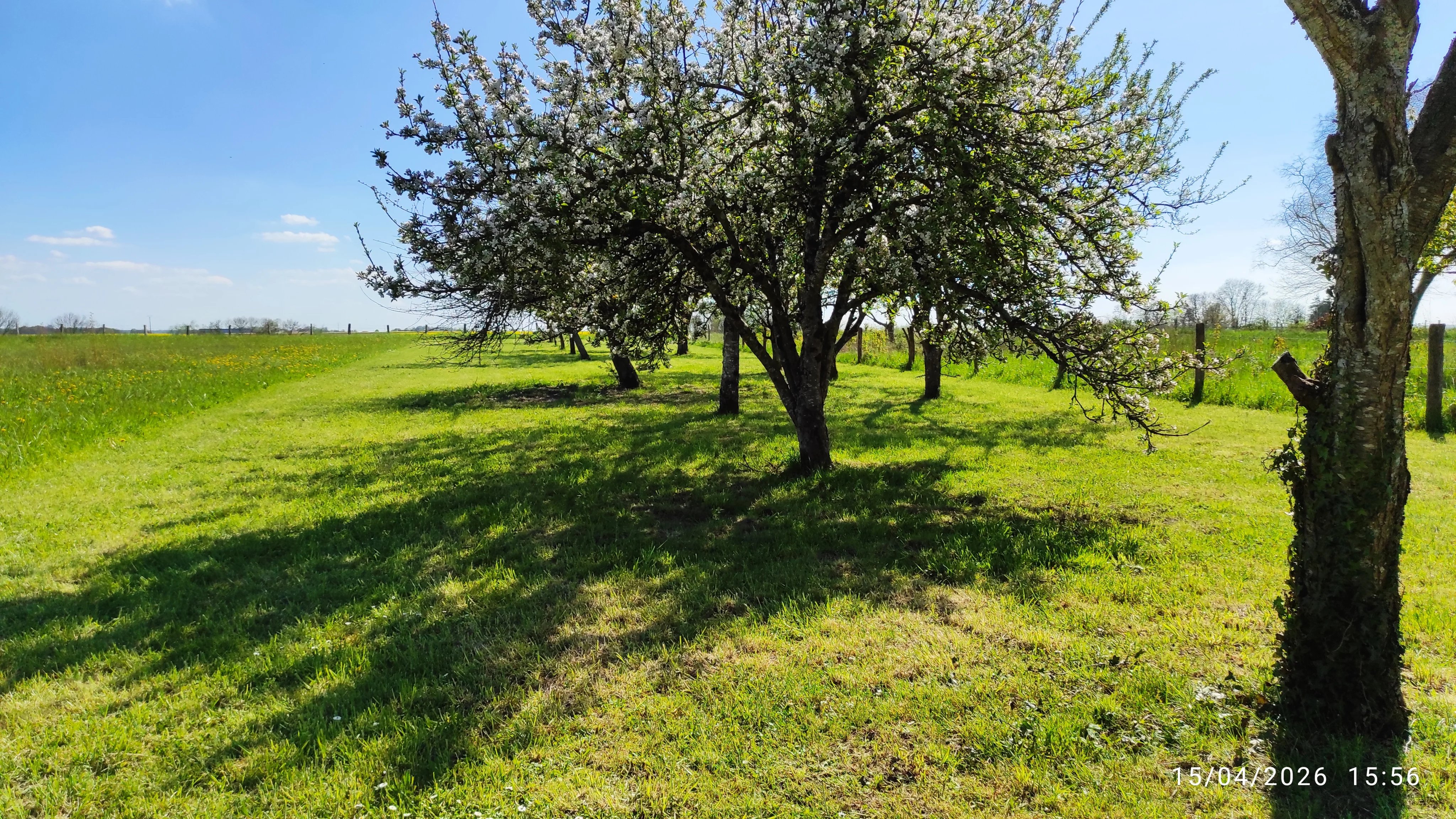 Agence immobilière de Nat'Immobilier