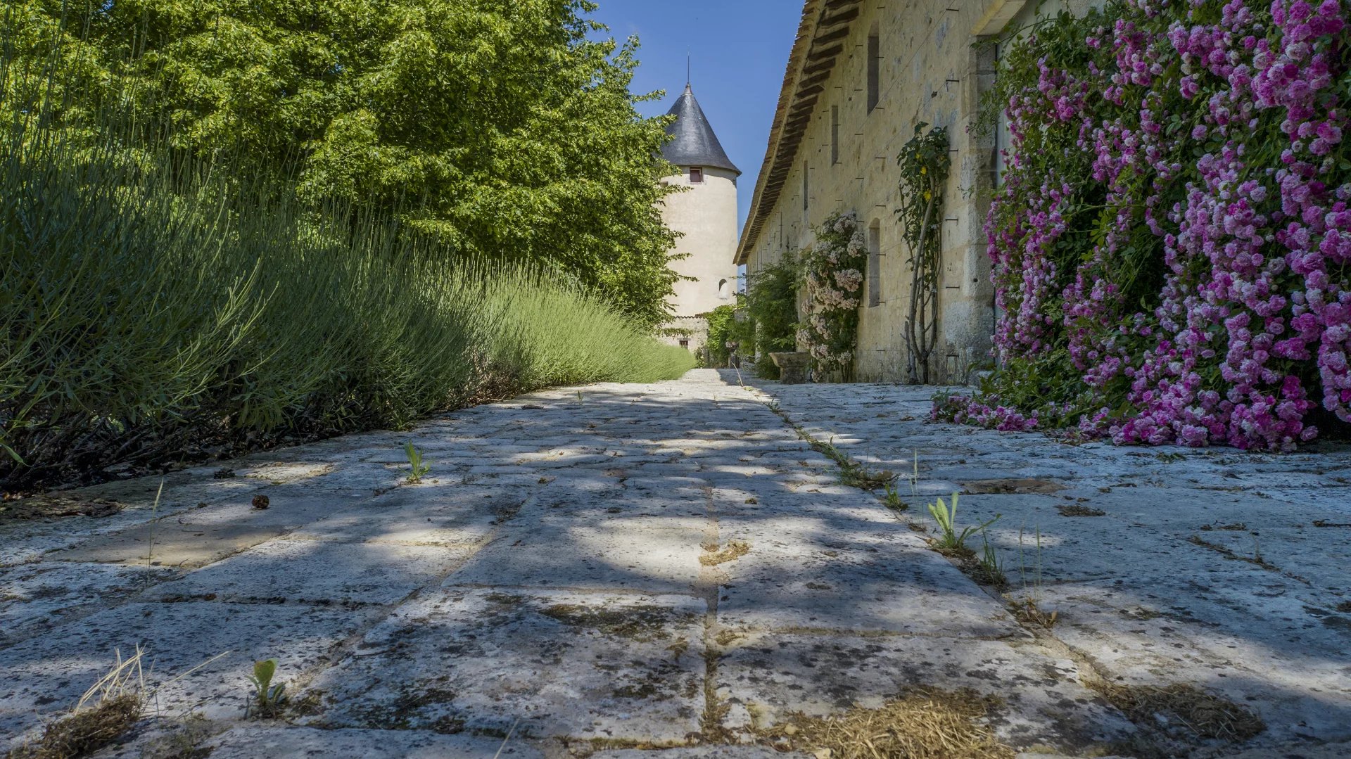 8 Bedroom Chateau's Image 25