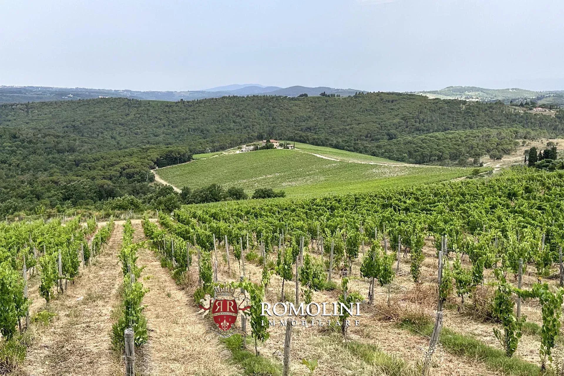 6 Bedroom Vineyard's Image 6