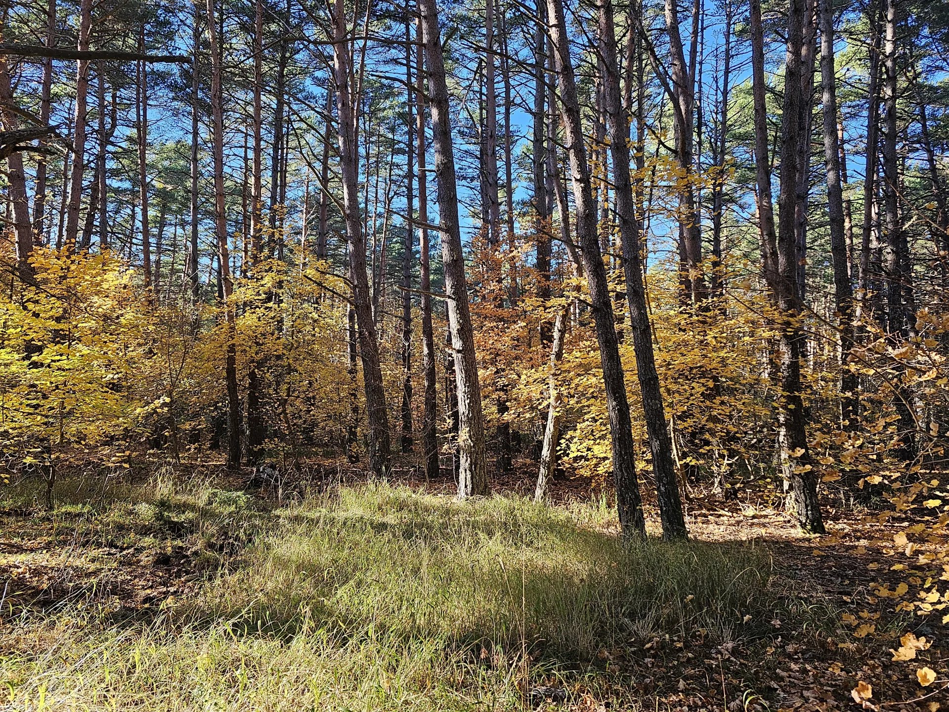 Photo bien immobilier