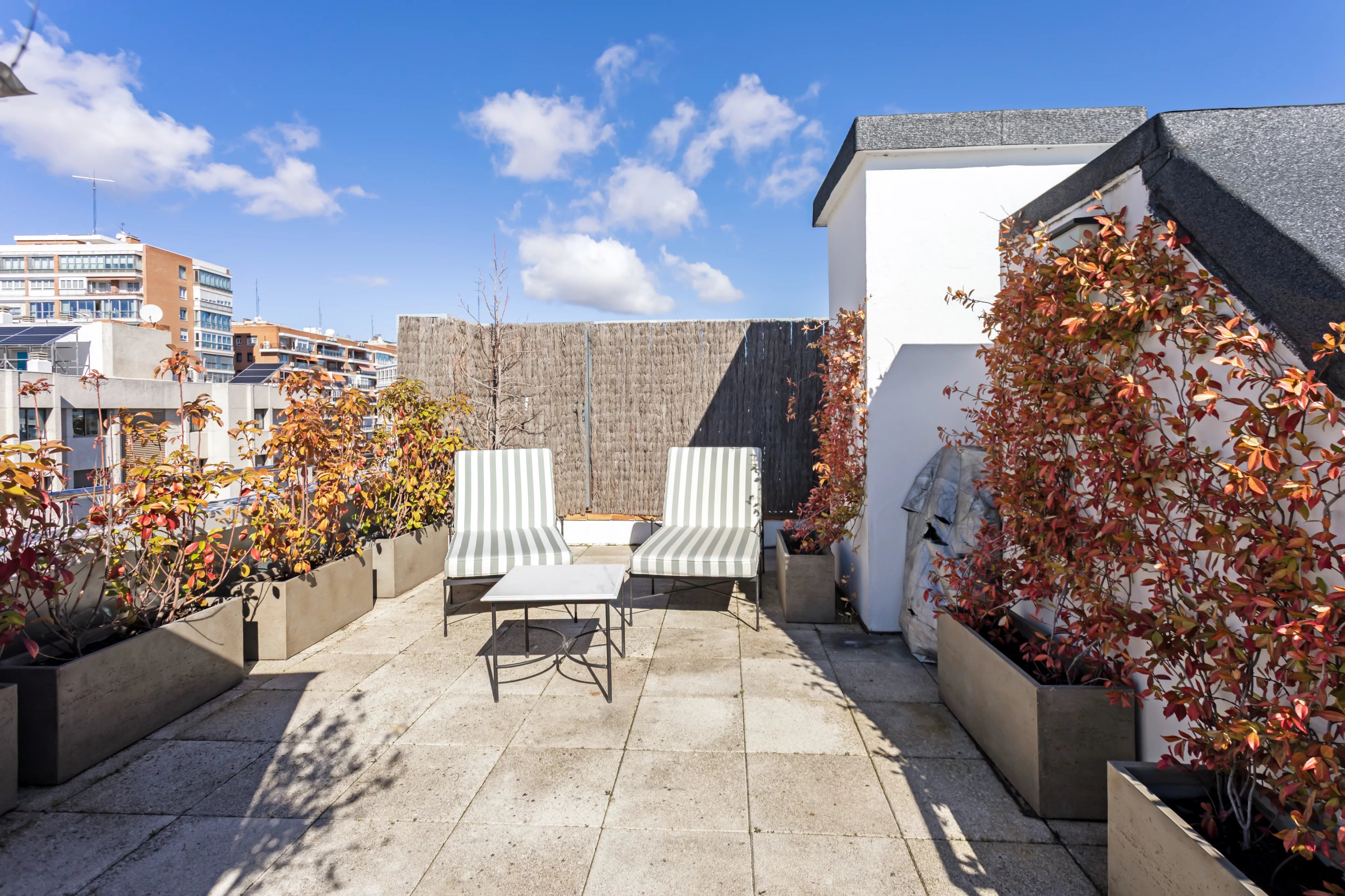 Bright penthouse flat for rent