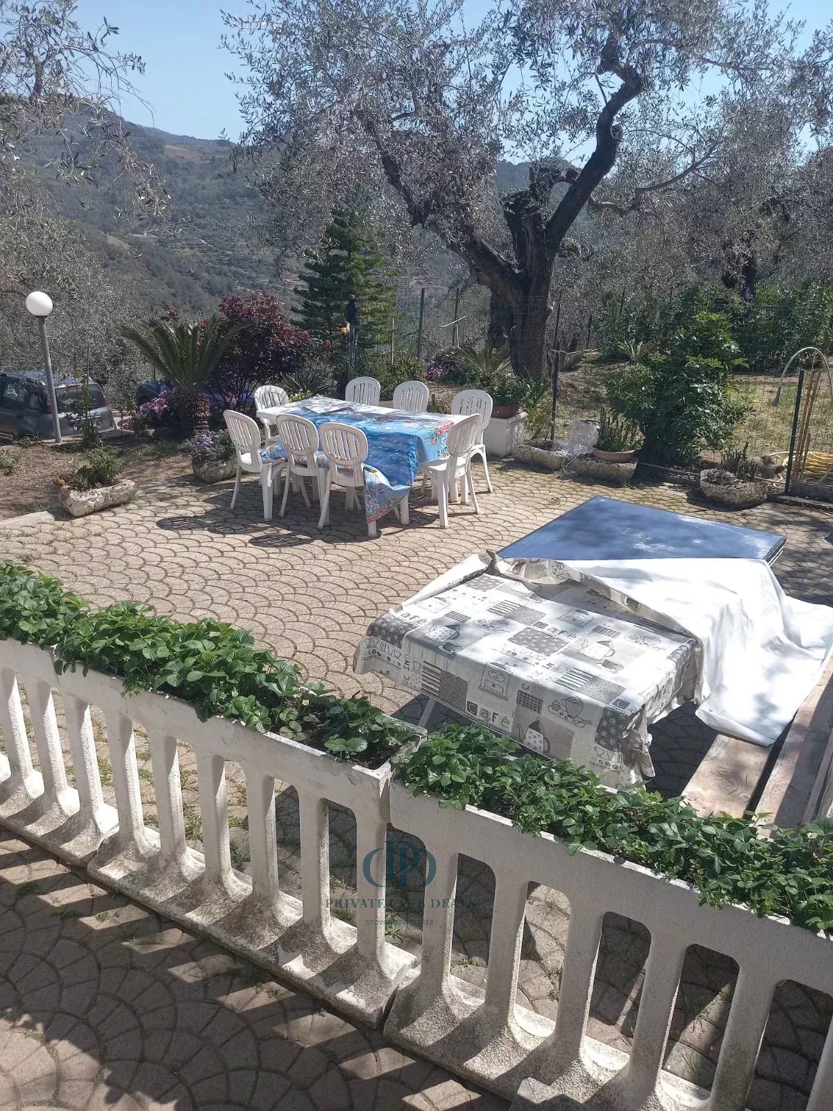 Villa Dolceacqua - picture 11