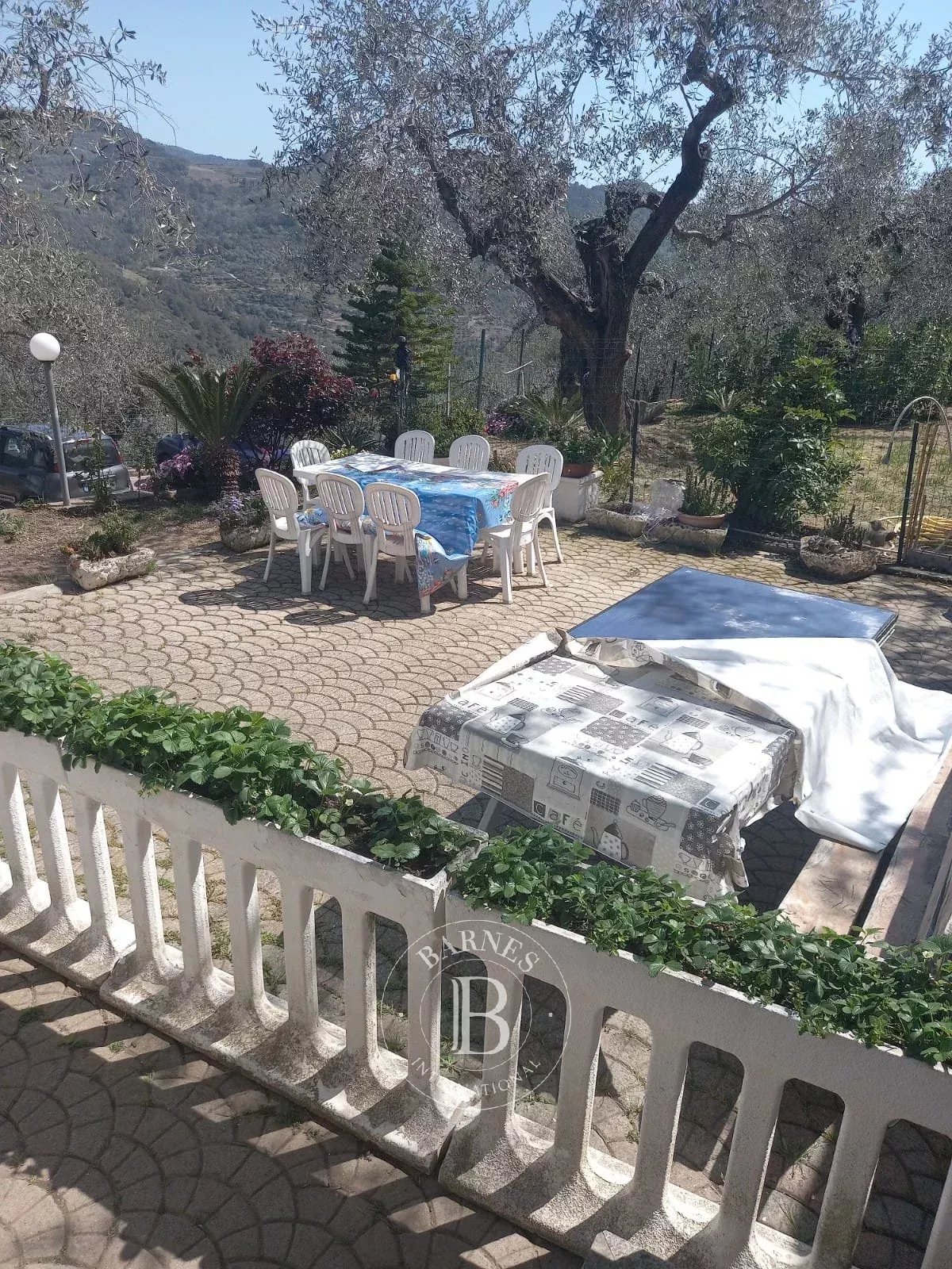 Villa Dolceacqua - picture 11