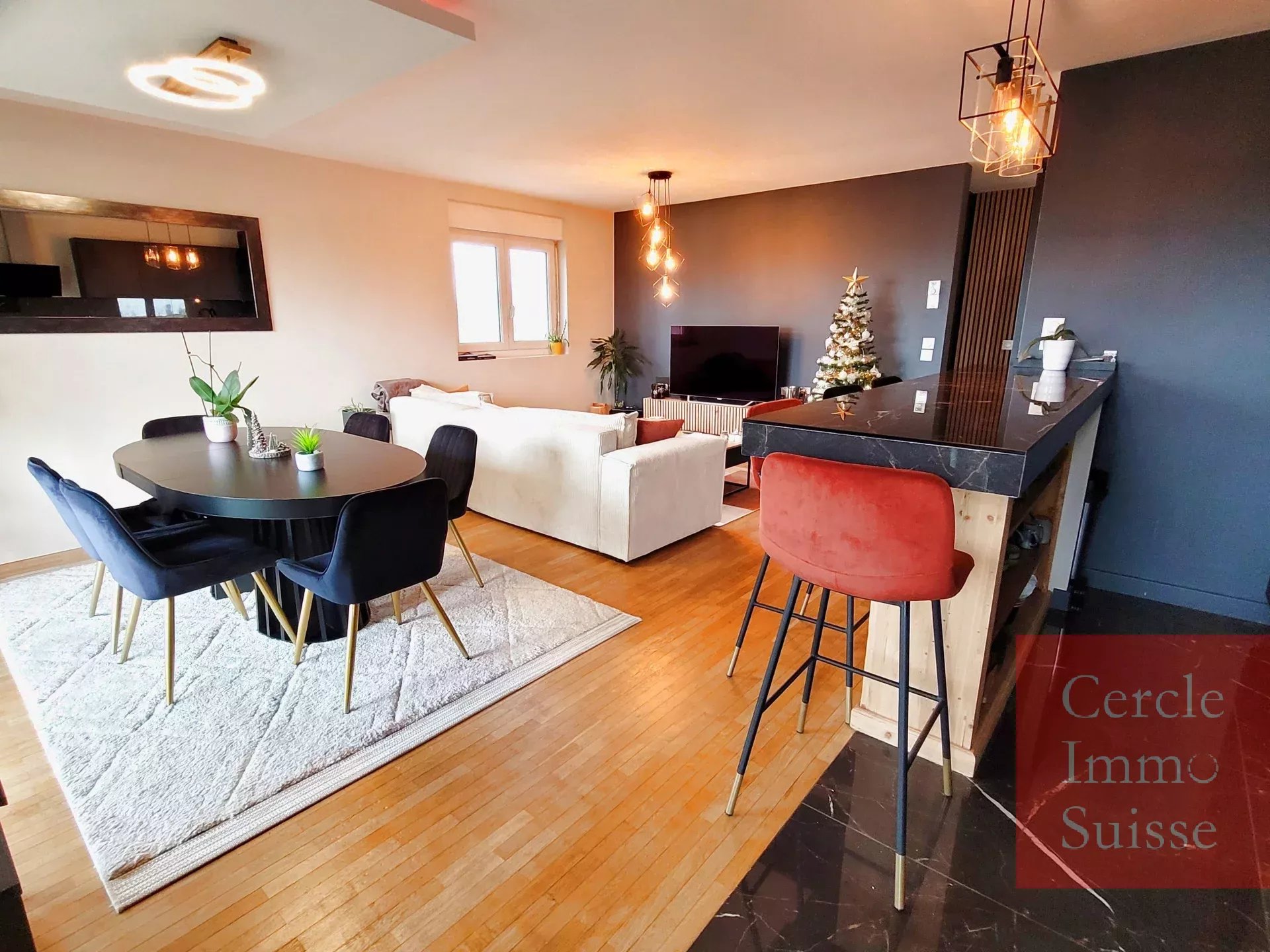 Superbe appartement de 55 m2 avec terrasse et garage à Annecy. - Photo 2